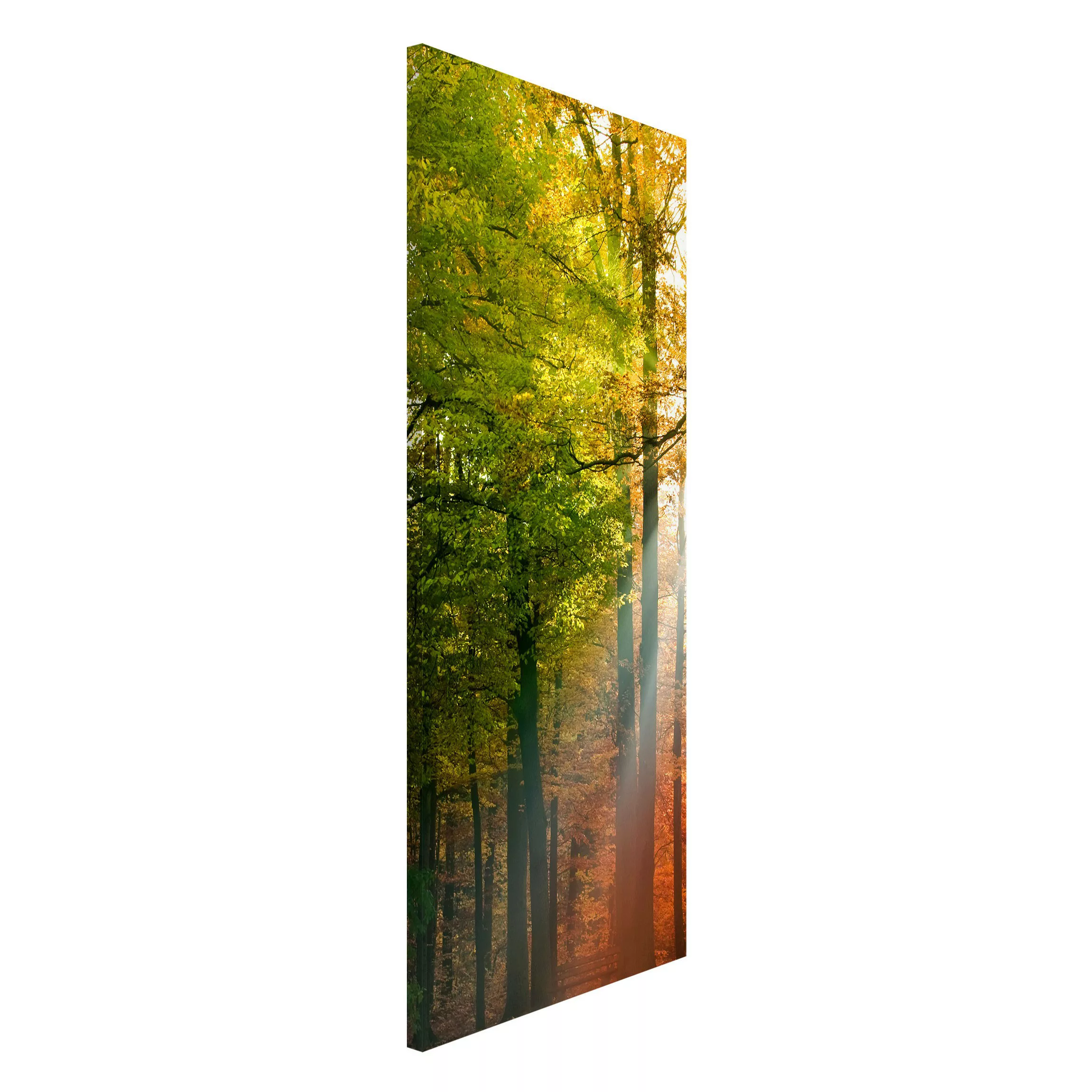 Magnettafel Natur & Landschaft - Hochformat 1:2 Morning Light günstig online kaufen