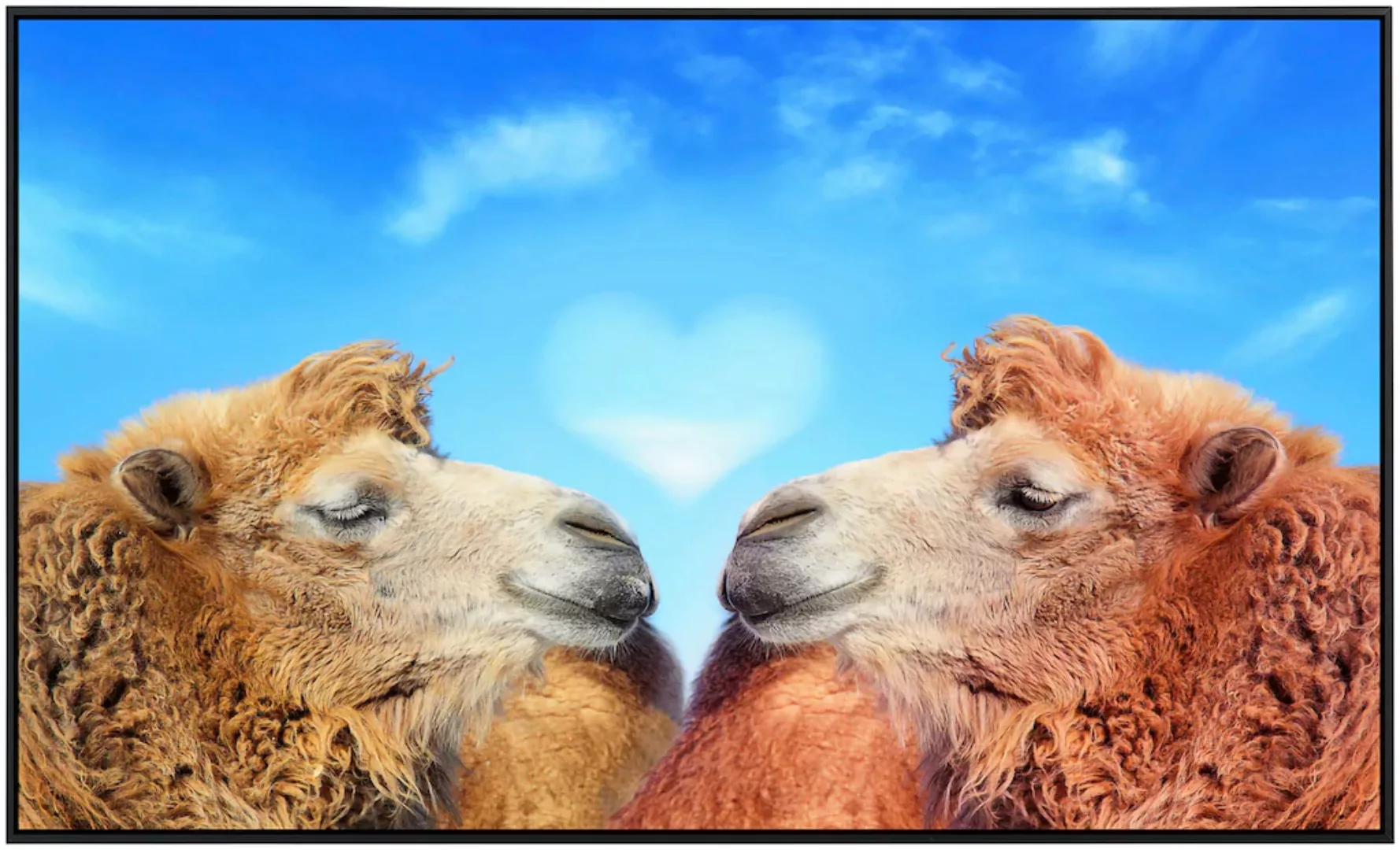 Papermoon Infrarotheizung »Kamele« günstig online kaufen