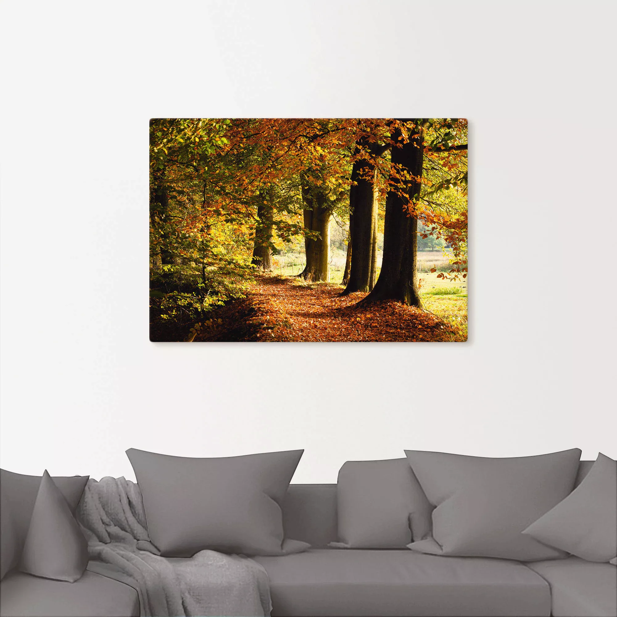 Artland Wandbild »Herbstfarben«, Bäume, (1 St.), als Alubild, Outdoorbild, günstig online kaufen