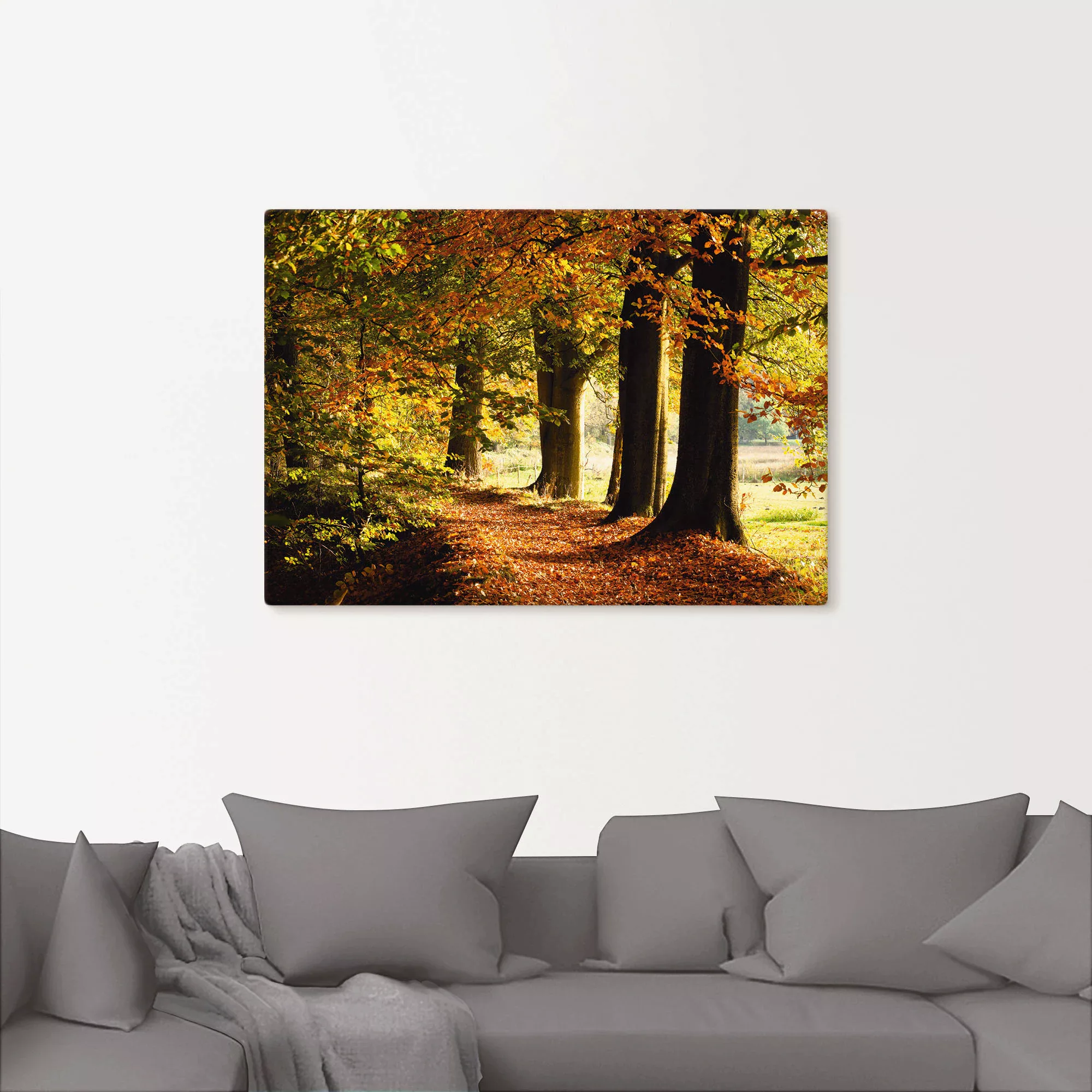 Artland Wandbild "Herbstfarben", Bäume, (1 St.), als Alubild, Outdoorbild, günstig online kaufen