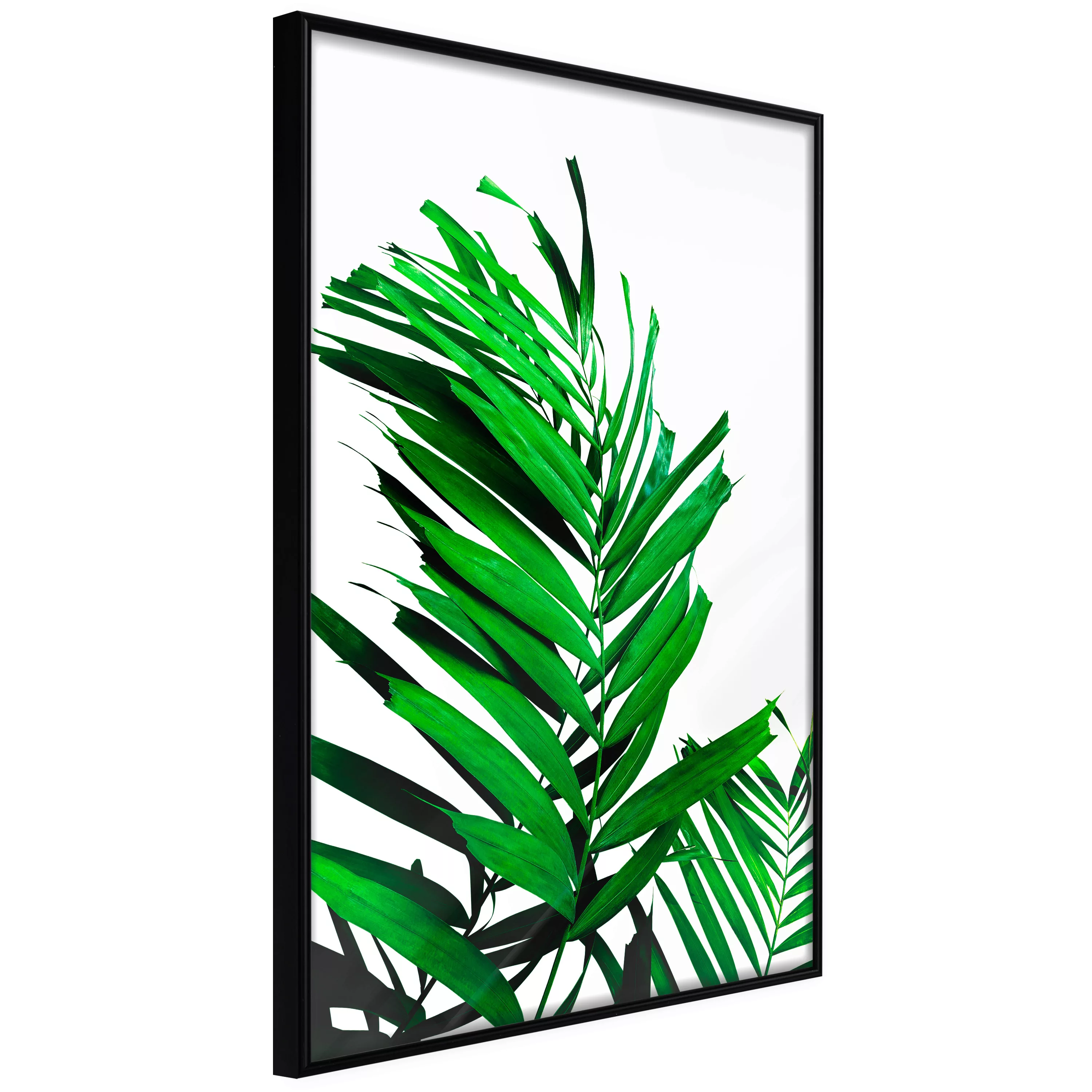 Poster - Emerald Palm günstig online kaufen
