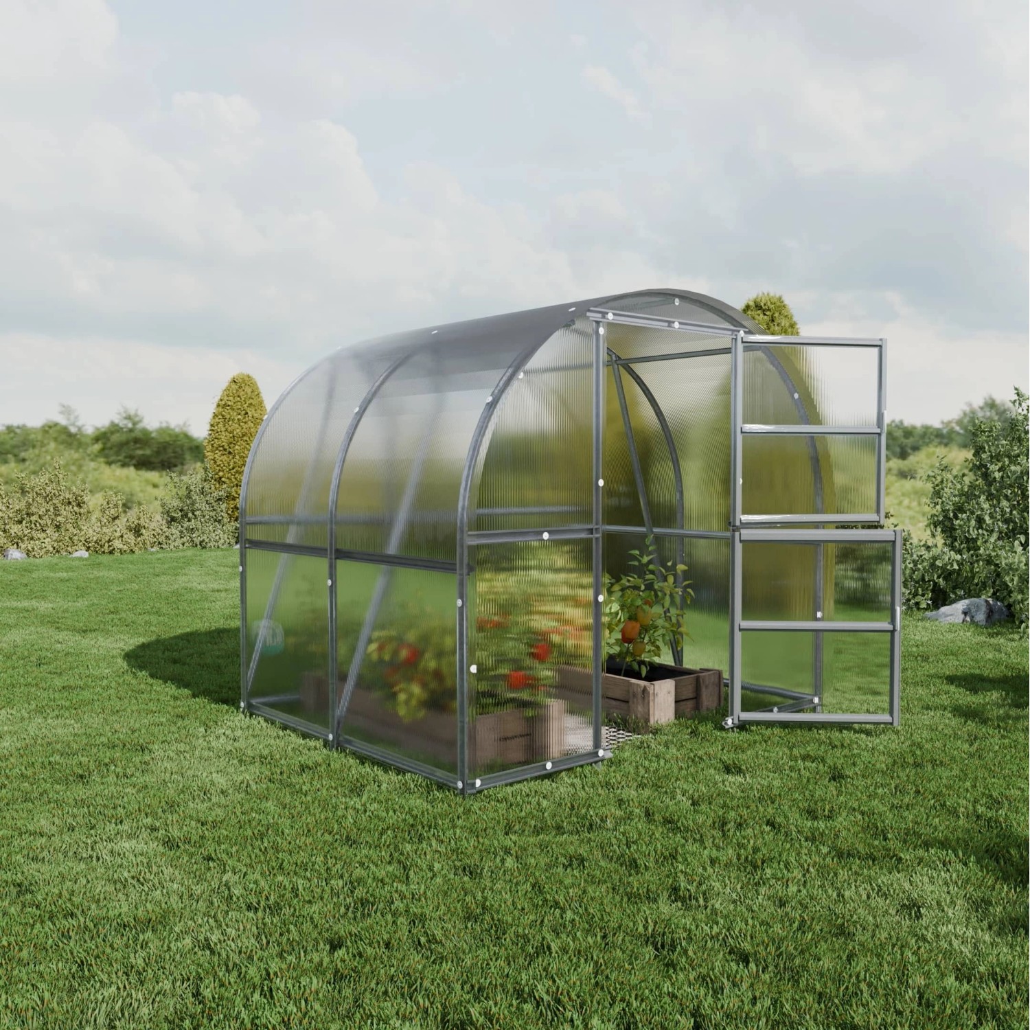 Klasika Greenhouses Baltic LT KLASIKA Gewächshaus 6m², 3m x 2m mit 4 mm Pol günstig online kaufen