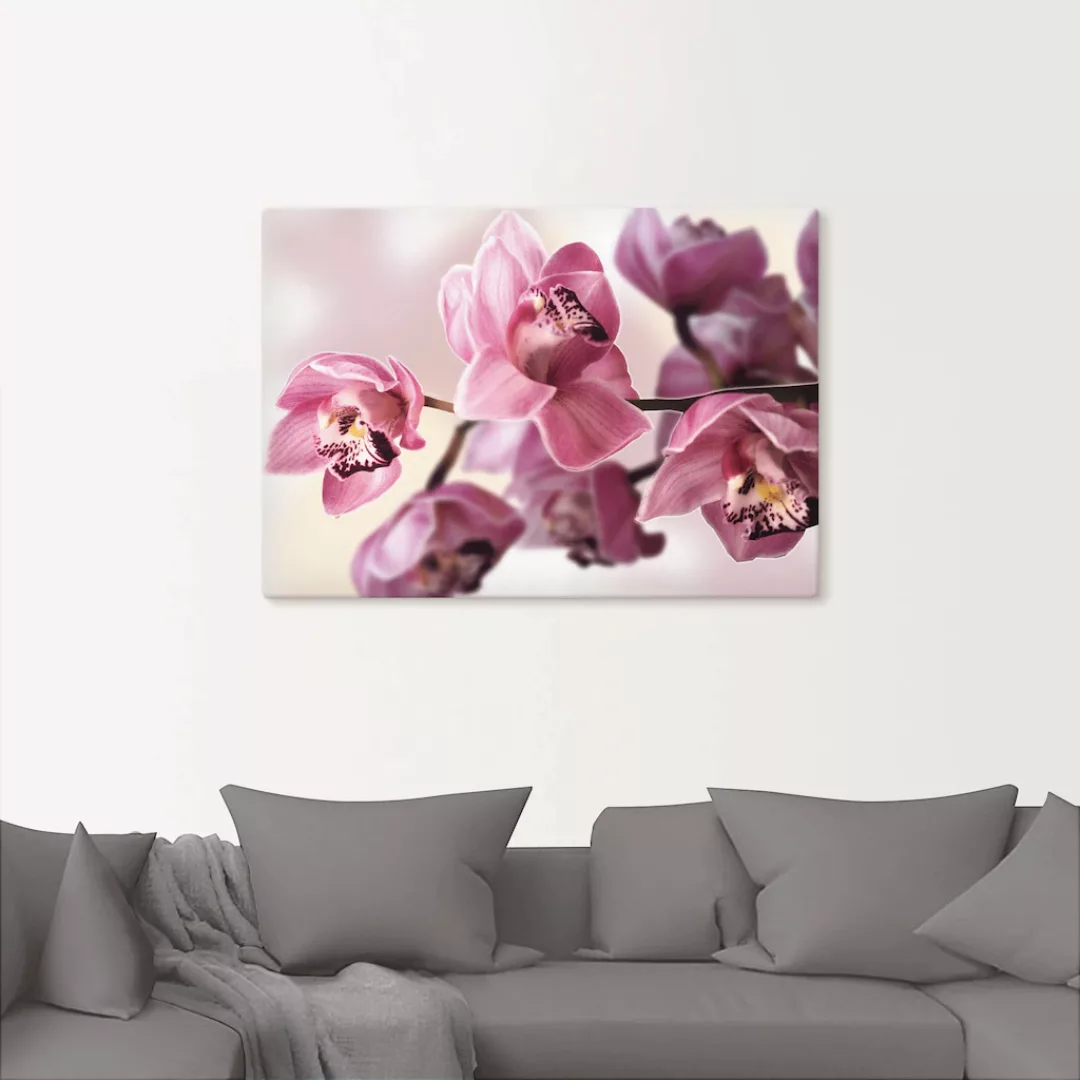 Artland Wandbild "Rosa Orchidee", Blumenbilder, (1 St.), als Alubild, Outdo günstig online kaufen