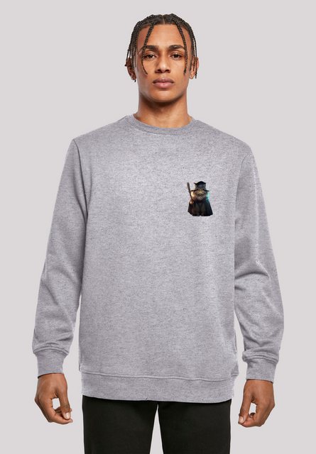 F4NT4STIC Kapuzenpullover "Wizard Cat CREW", Print günstig online kaufen