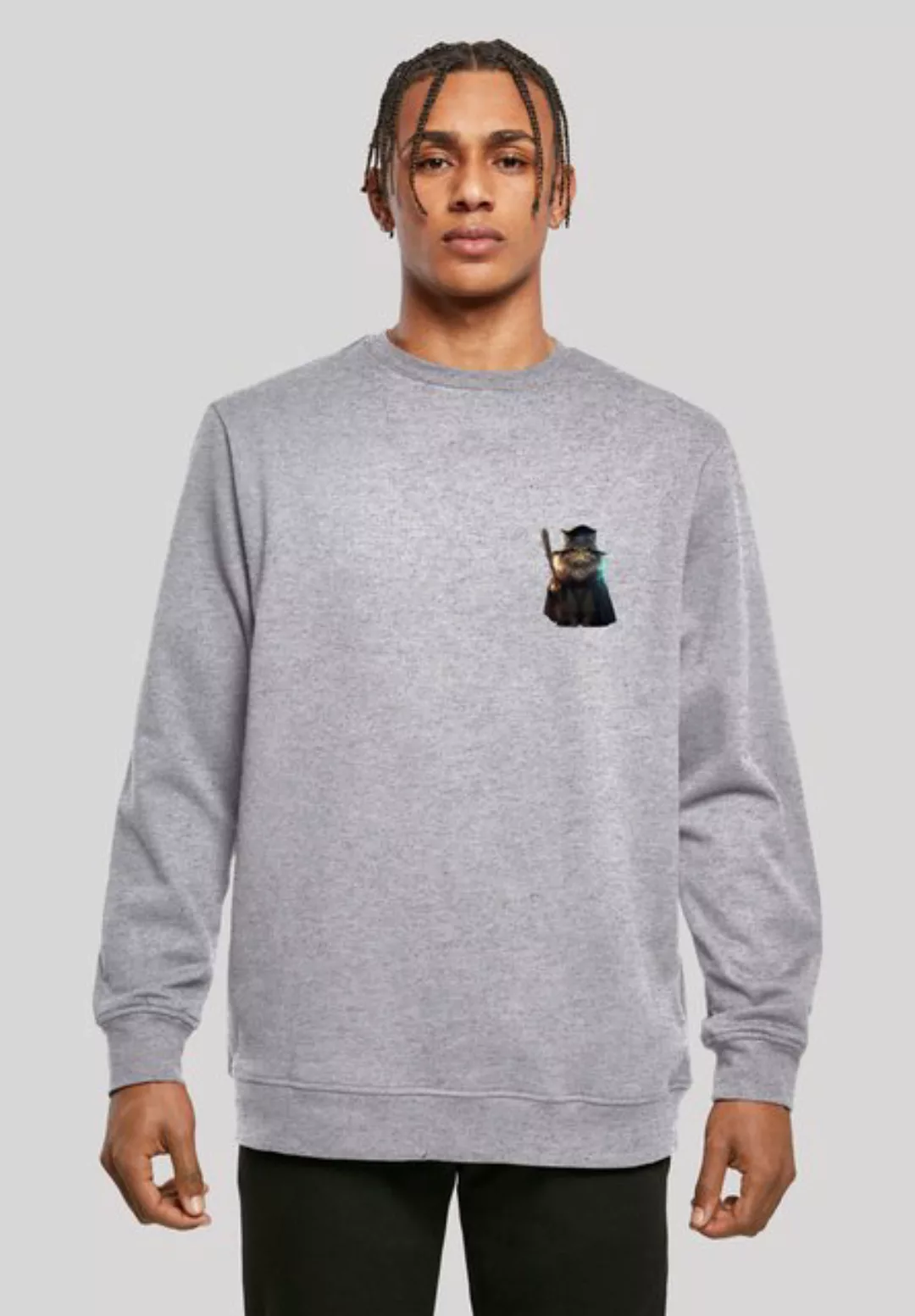 F4NT4STIC Kapuzenpullover Wizard Cat CREW Print günstig online kaufen