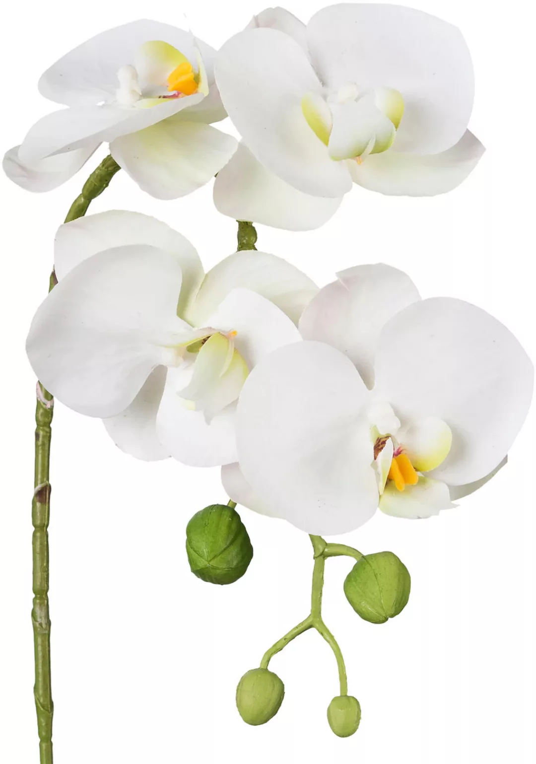 Creativ green Kunstblume "Phalaenopsis 3D-print", mit Real-Touch-Blüten günstig online kaufen