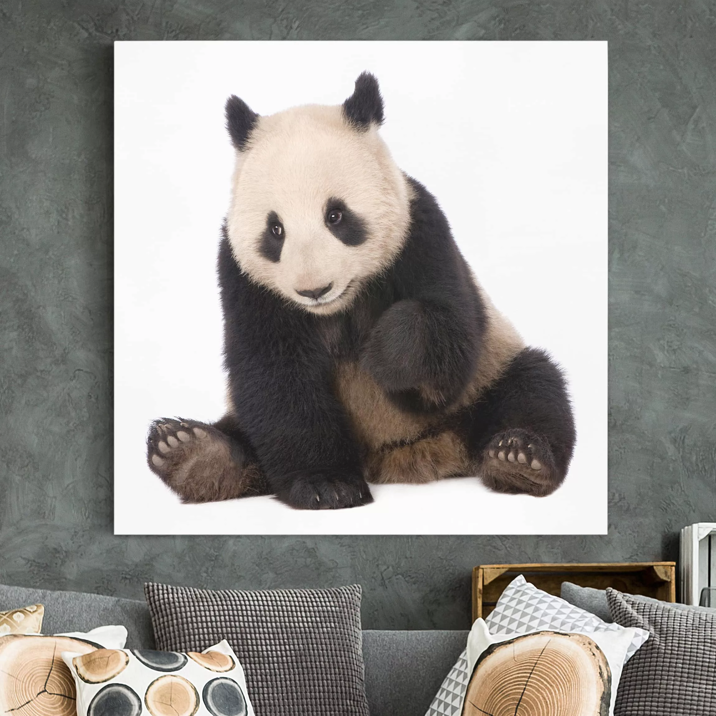Leinwandbild Tiere - Quadrat Panda Tatzen günstig online kaufen