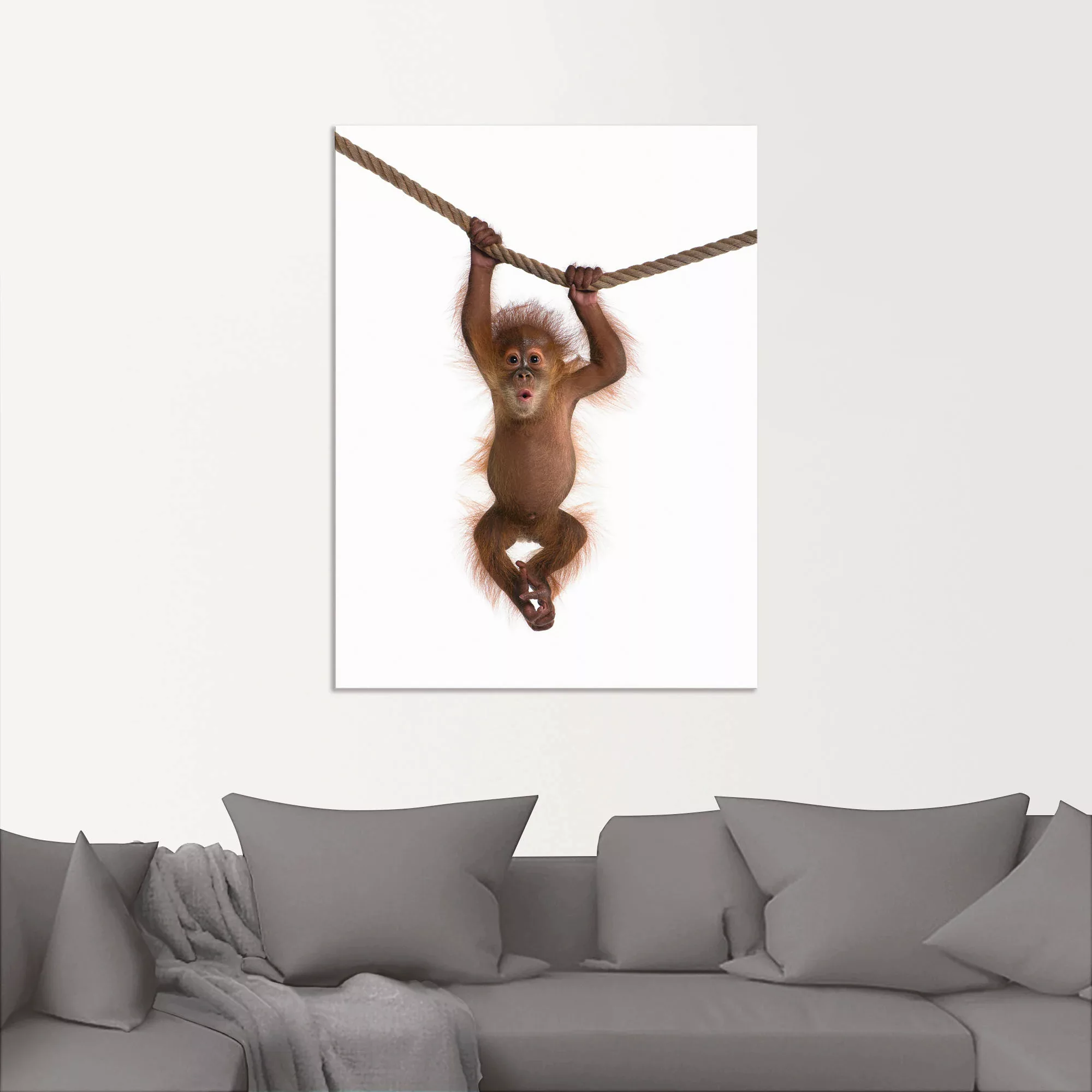 Artland Wandbild »Baby Orang Utan hängt an Seil II«, Wildtiere, (1 St.), al günstig online kaufen