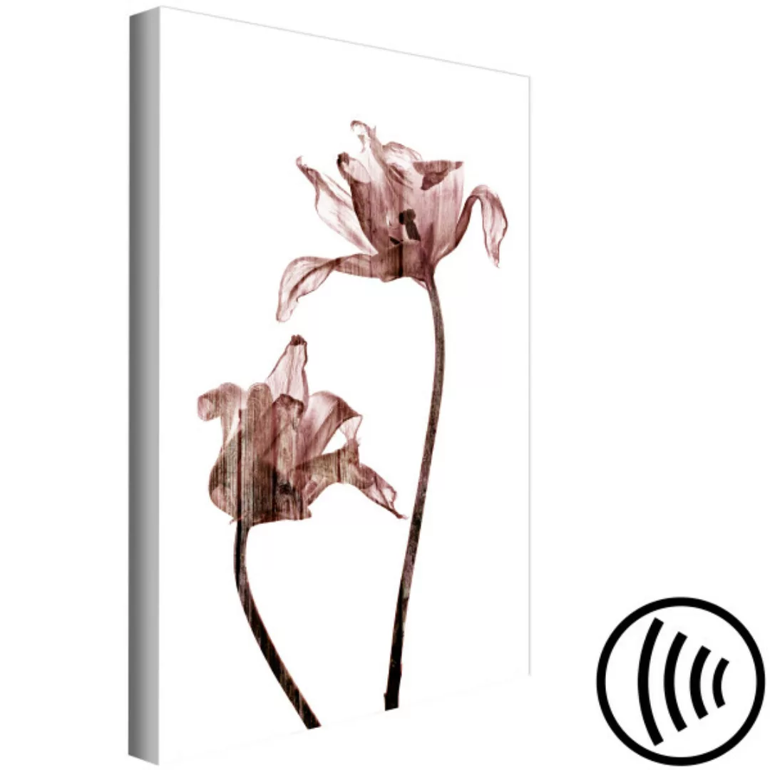 Wandbild Tulpenzeichnung - Blumen in zart brauner Farbe auf weißem Hintergr günstig online kaufen