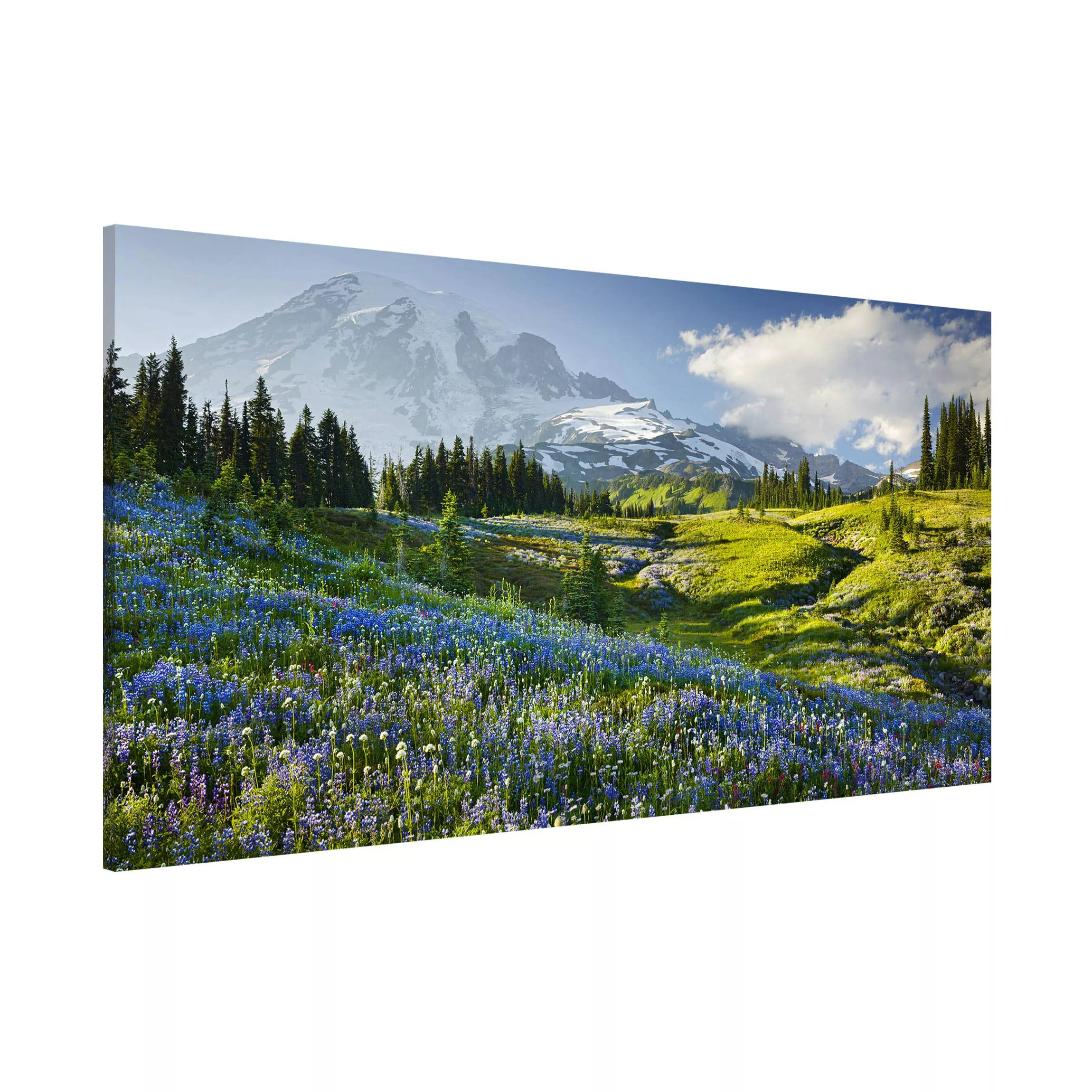 Magnettafel Natur & Landschaft - Querformat 2:1 Bergwiese mit blauen Blumen günstig online kaufen