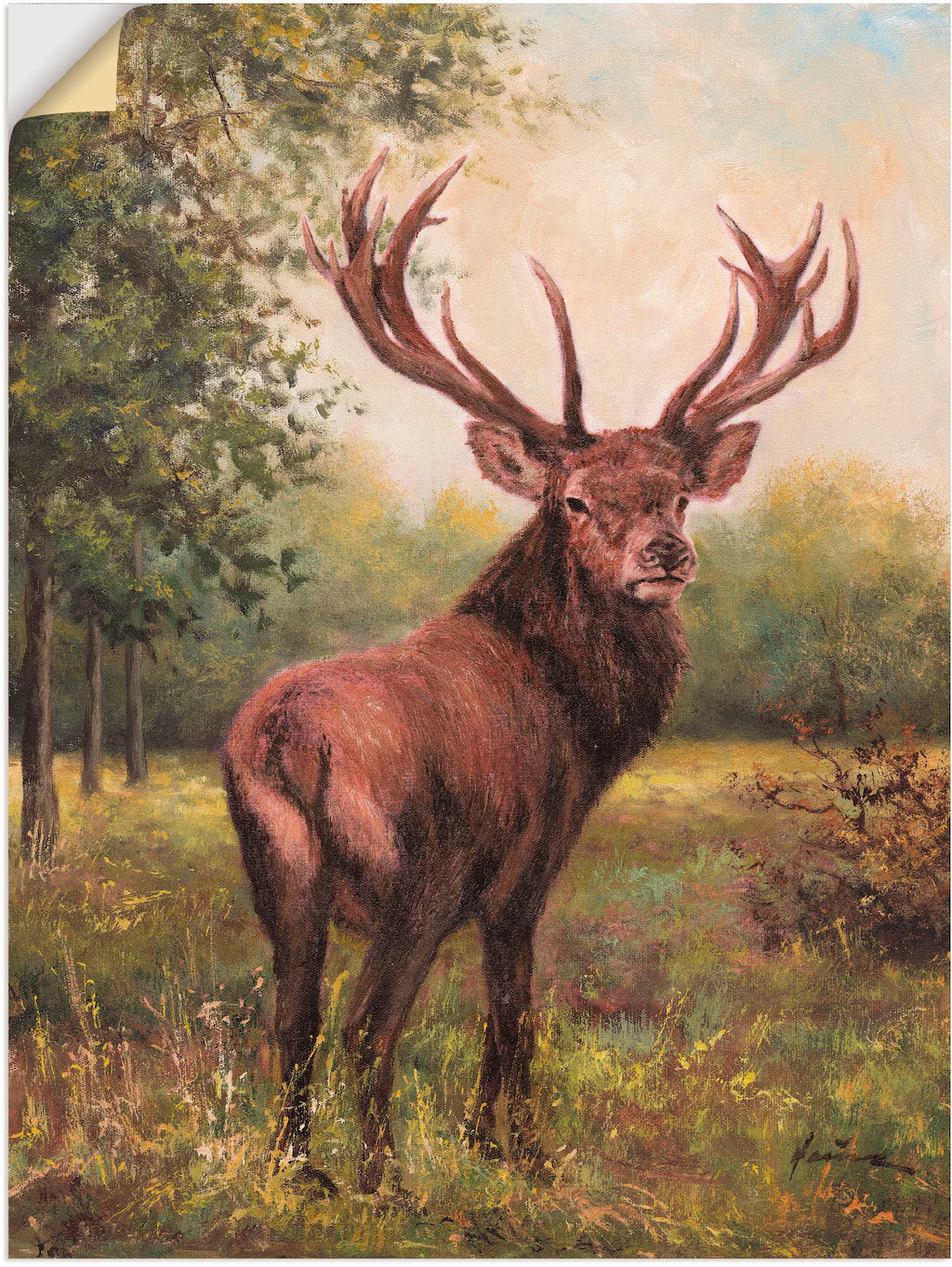 Artland Wandbild "Hirsch", Wildtiere, (1 St.), als Leinwandbild, Poster, Wa günstig online kaufen