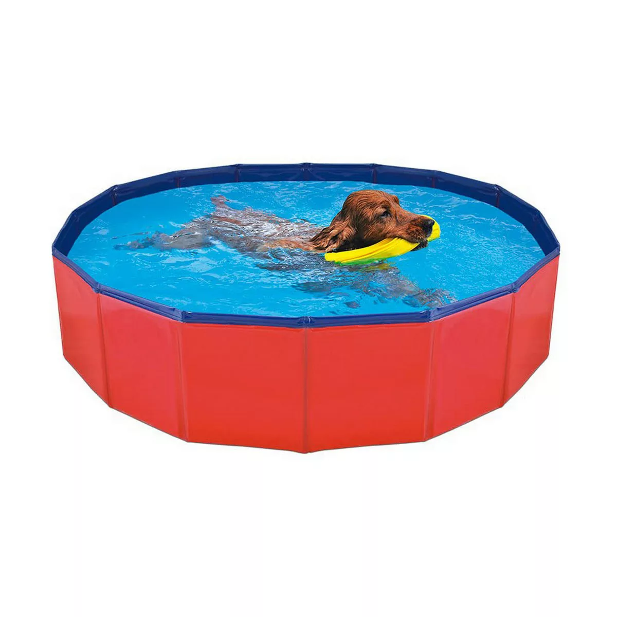Schwimmbad Abnehmbar Nayeco Hund günstig online kaufen