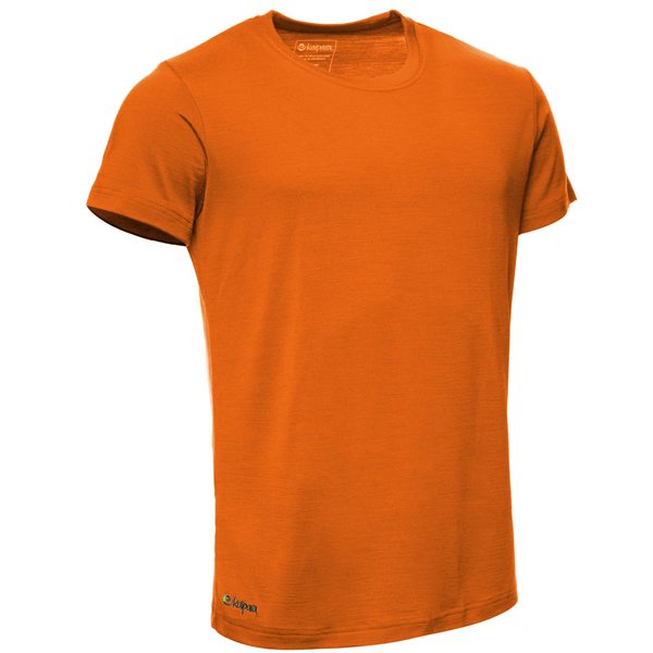 Merino Shirt Herren Kurzarm Regularfit 150 günstig online kaufen