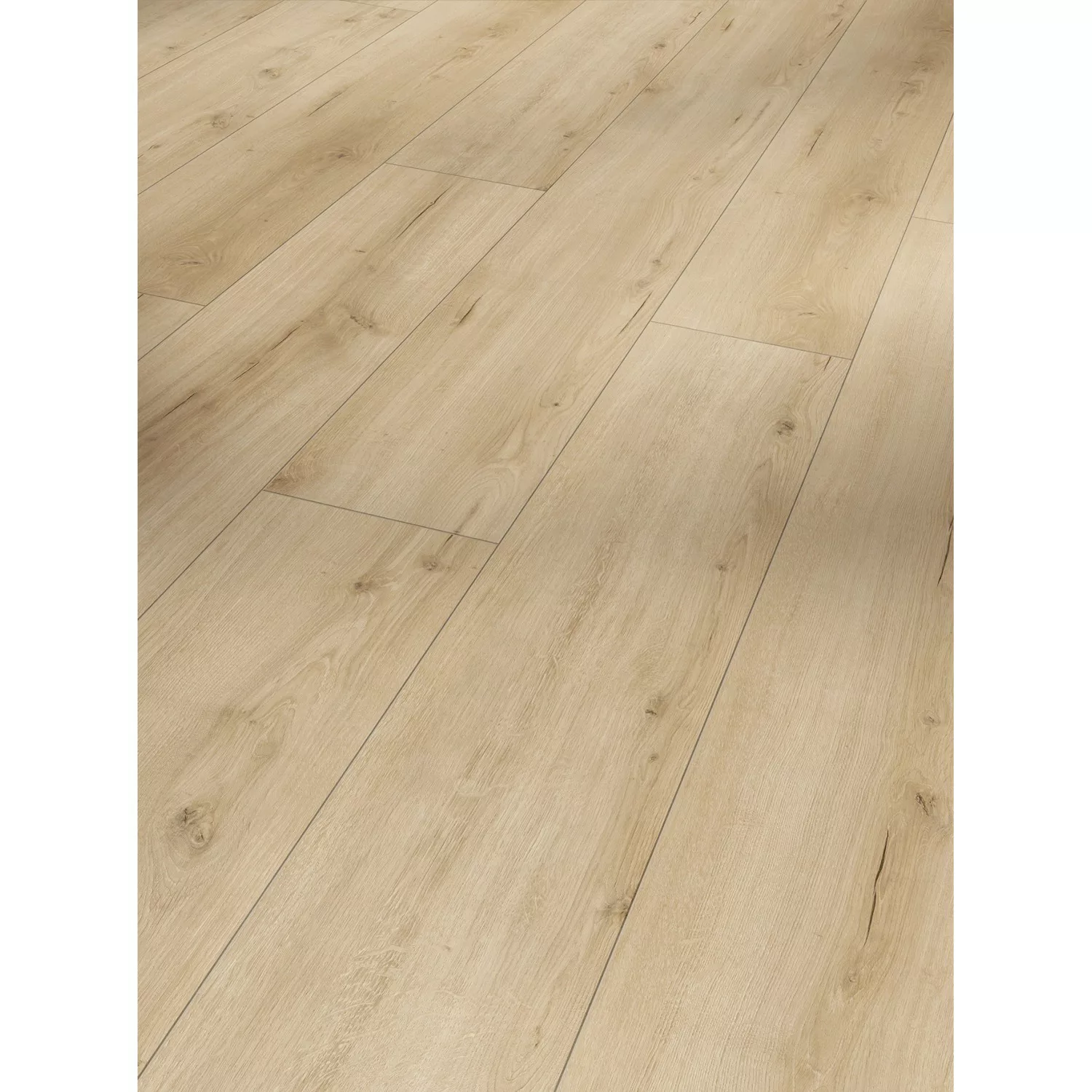 Parador Laminat Trendtime 6 Eiche Loft Pure Lebhafte Struktur Gefast günstig online kaufen