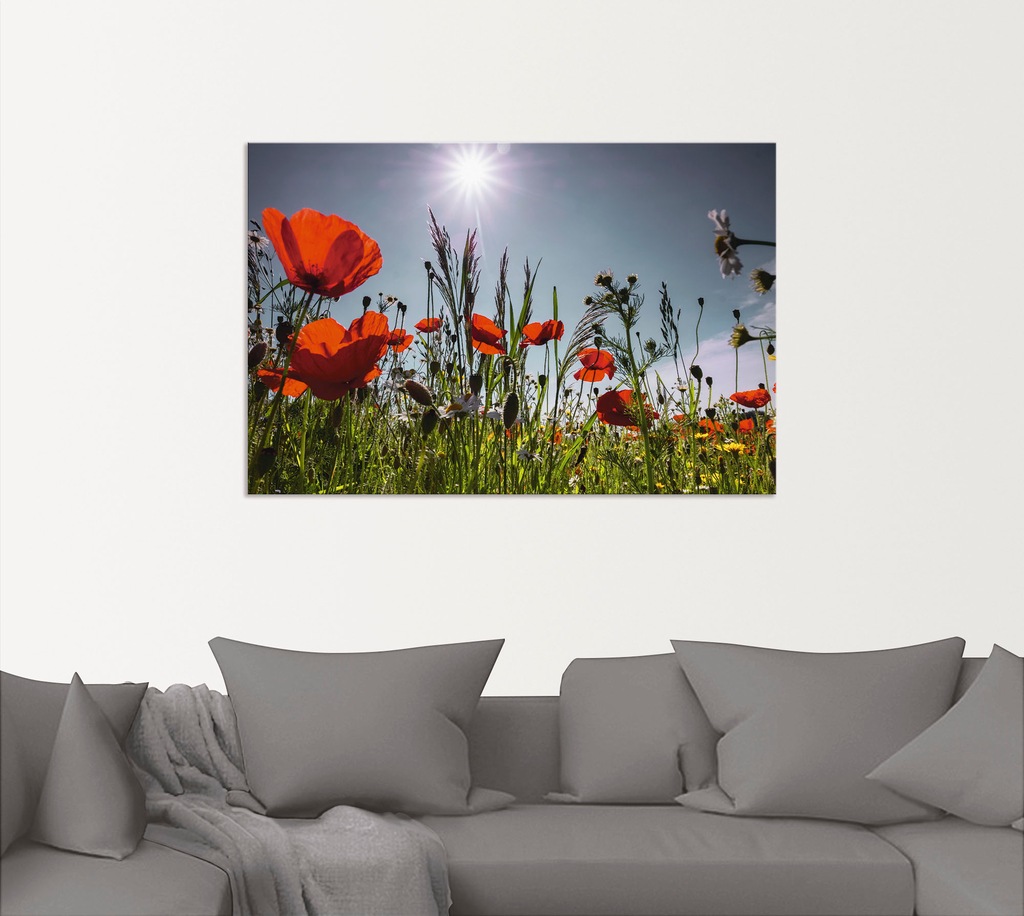 Artland Wandbild "Mohnblumenwiese", Blumenwiese, (1 St.), als Alubild, Outd günstig online kaufen