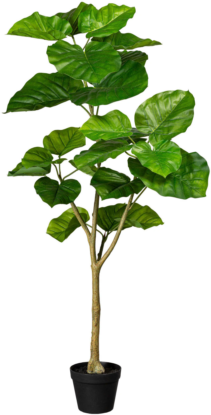 Creativ green Kunstbaum "Ficus umbellata" günstig online kaufen