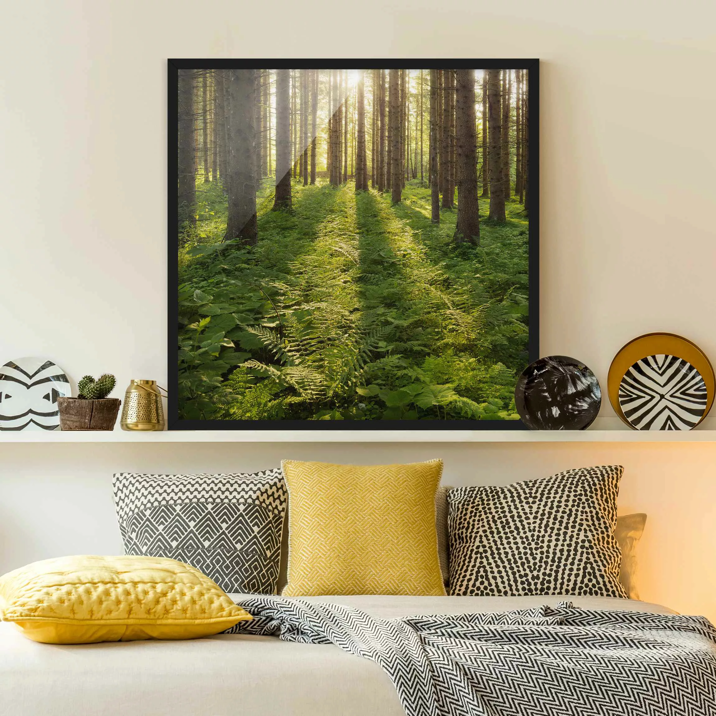 Bild mit Rahmen Natur & Landschaft - Quadrat Sonnenstrahlen in grünem Wald günstig online kaufen