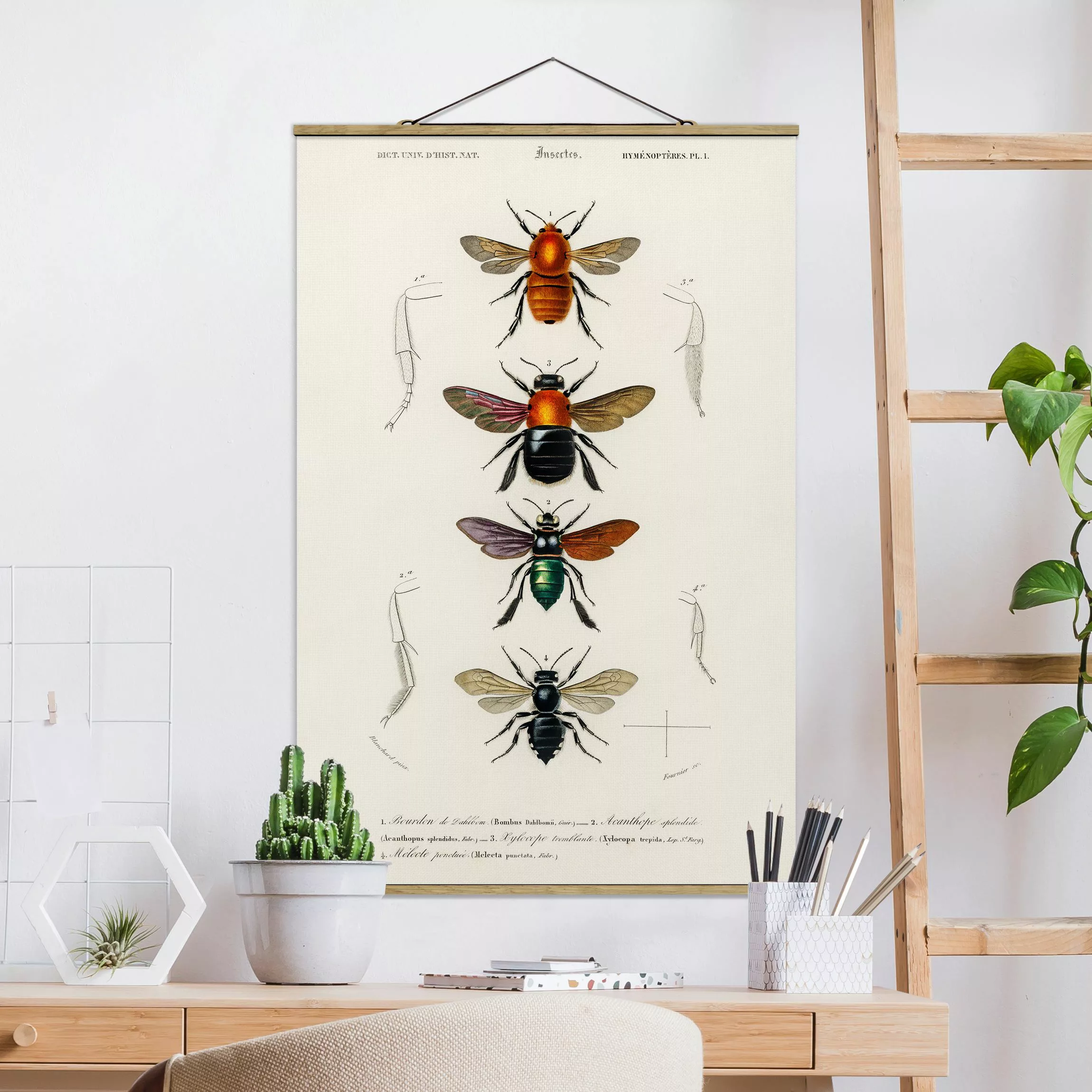 Stoffbild Tiere mit Posterleisten - Hochformat Vintage Lehrtafel Insekten günstig online kaufen