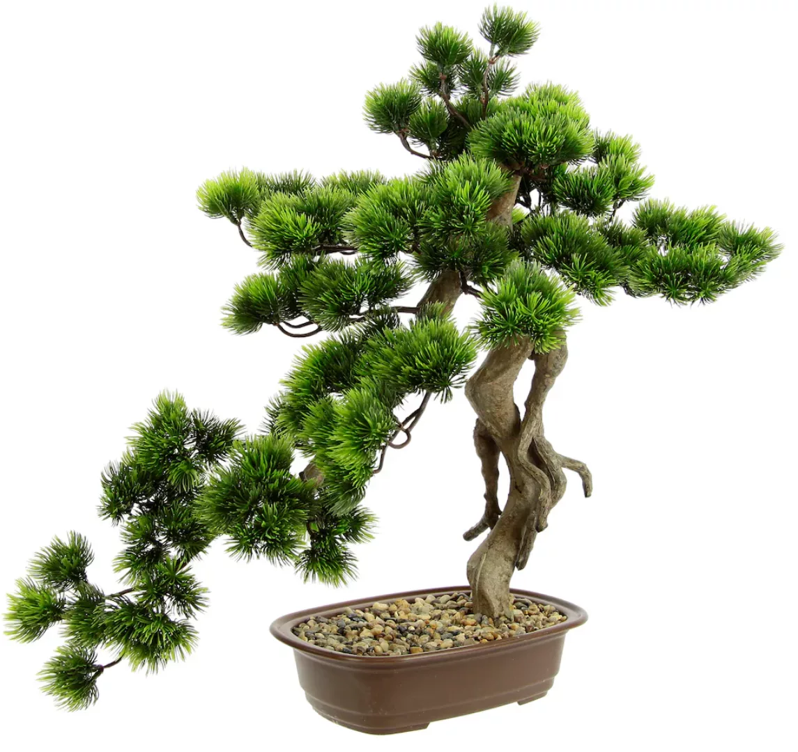 I.GE.A. Kunstpflanze "Bonsai Baum in Schale" günstig online kaufen