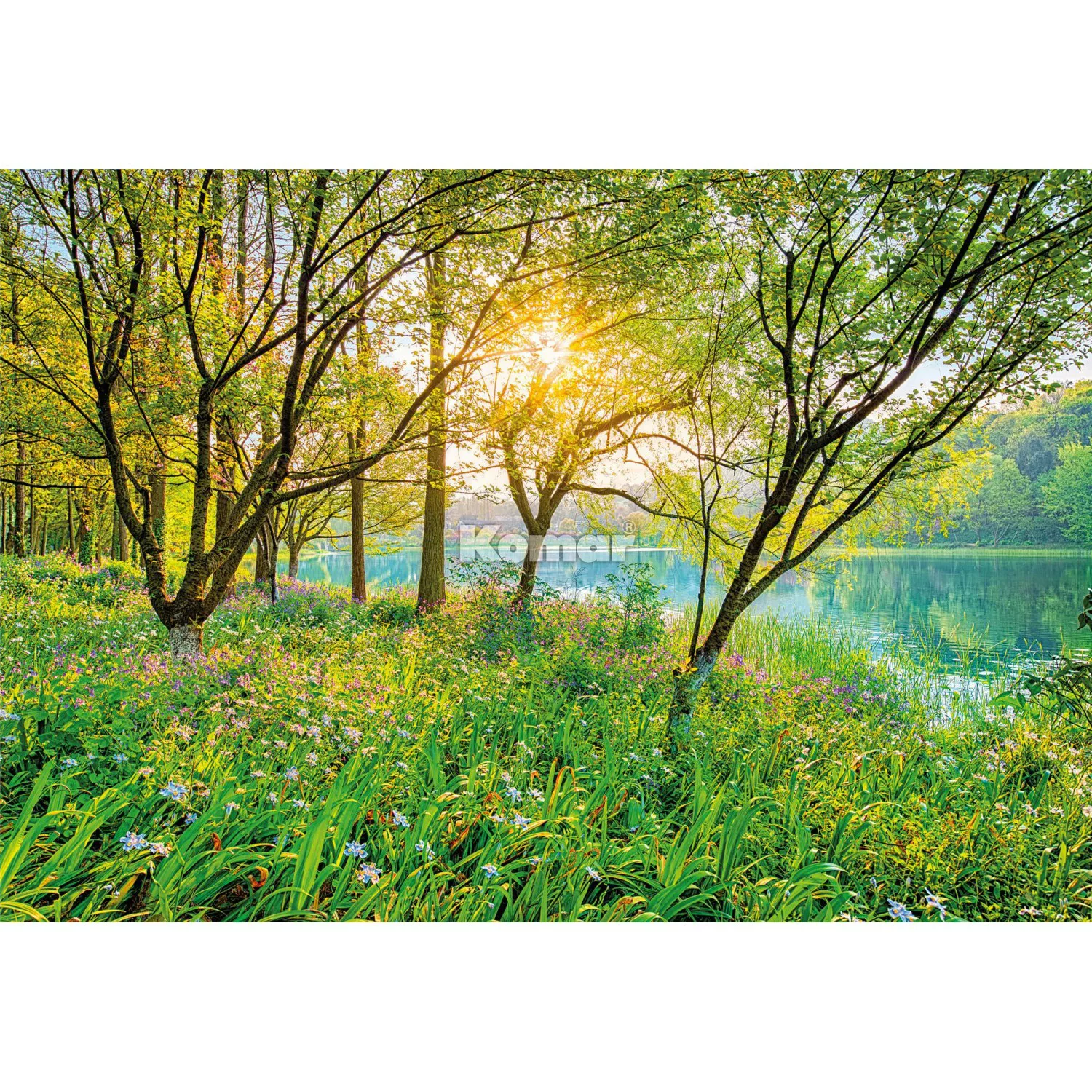 Komar Fototapete Spring Lake 368 cm x 254 cm FSC® günstig online kaufen