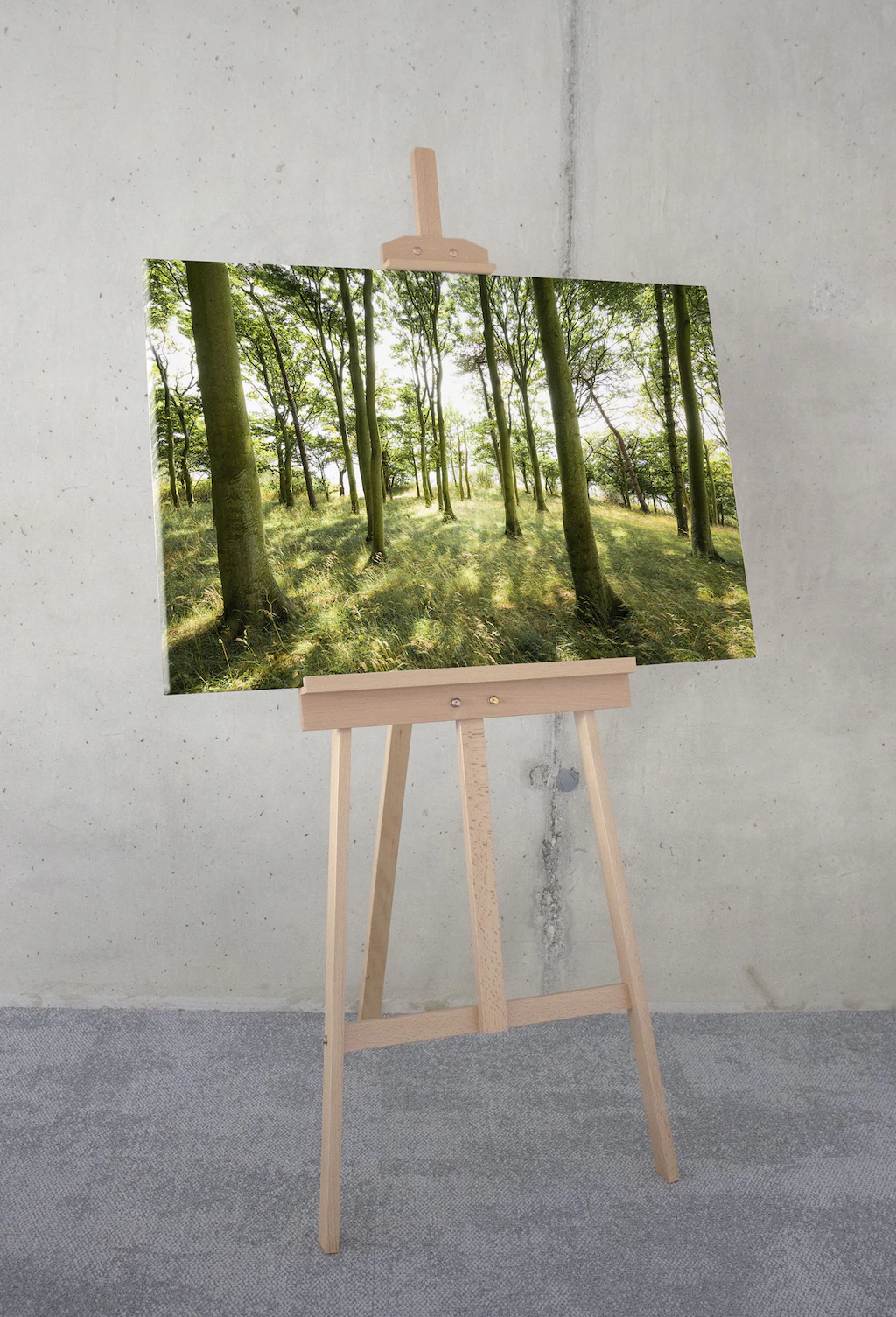 Komar Leinwandbild "Dänische Buchen - Größe 90 x 60 cm", Baum-Blätter-Natur günstig online kaufen