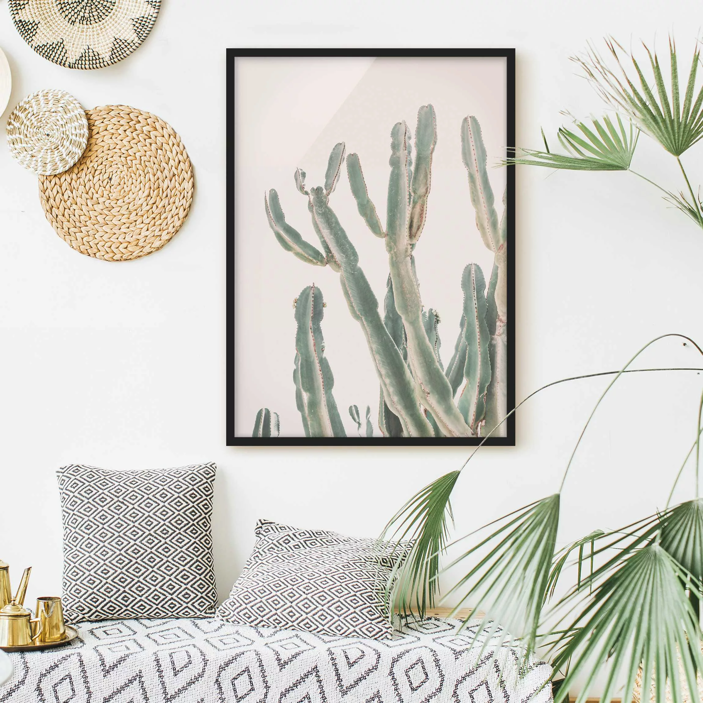 Bild mit Rahmen Kaktus vor Pastellrosa günstig online kaufen