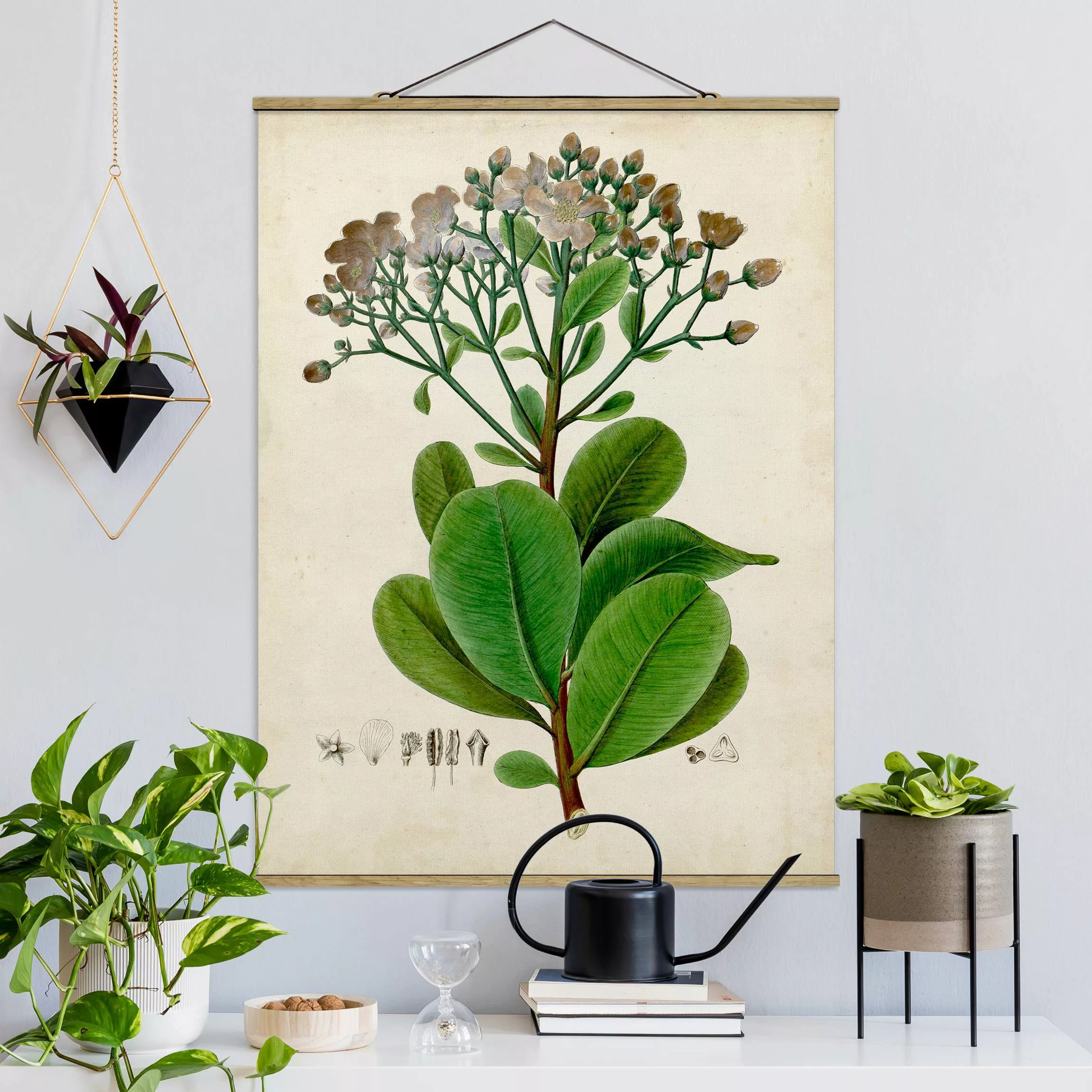 Stoffbild Blumen mit Posterleisten - Hochformat Laubbaum Schautafel VIII günstig online kaufen