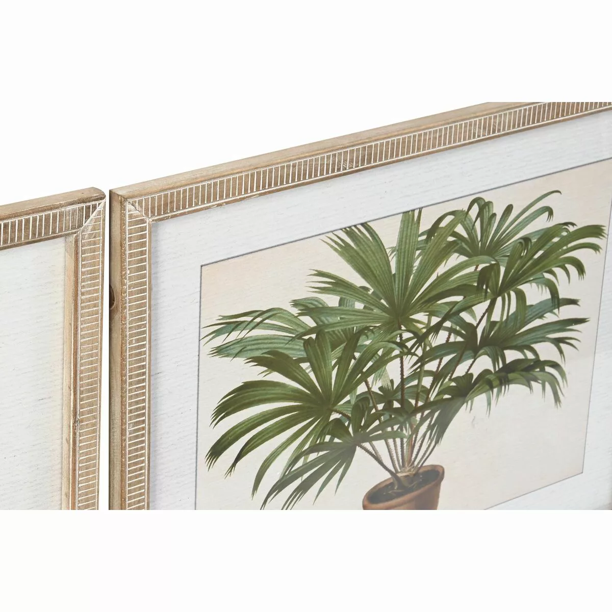 Bild Dkd Home Decor Palmen Tropical (65 X 2 X 50 Cm) (4 Stück) günstig online kaufen