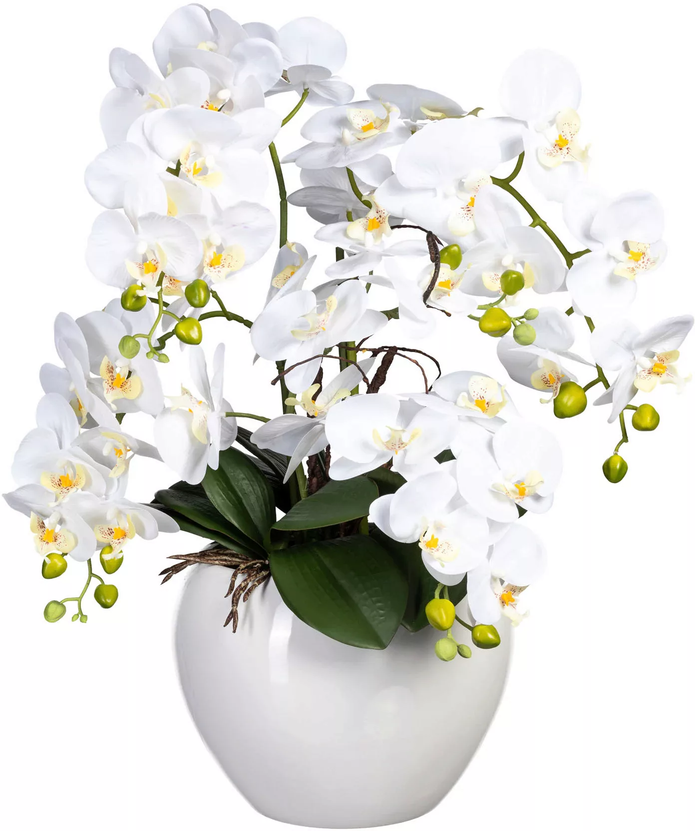 Creativ green Kunstorchidee "Phalaenopsis" günstig online kaufen