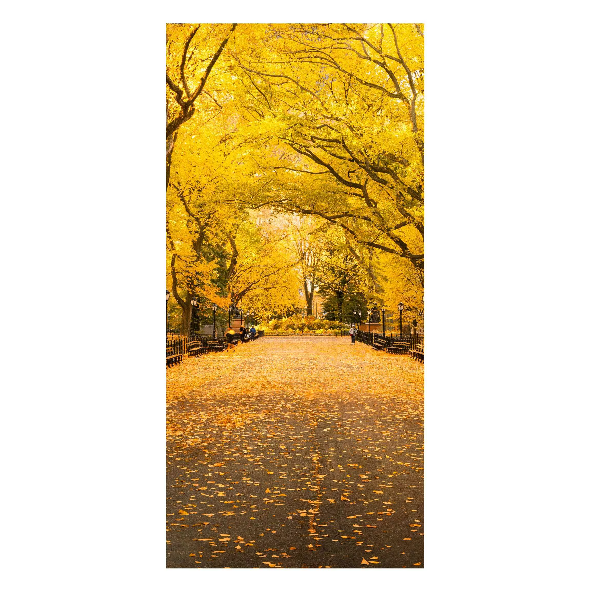 Magnettafel Herbst im Central Park günstig online kaufen