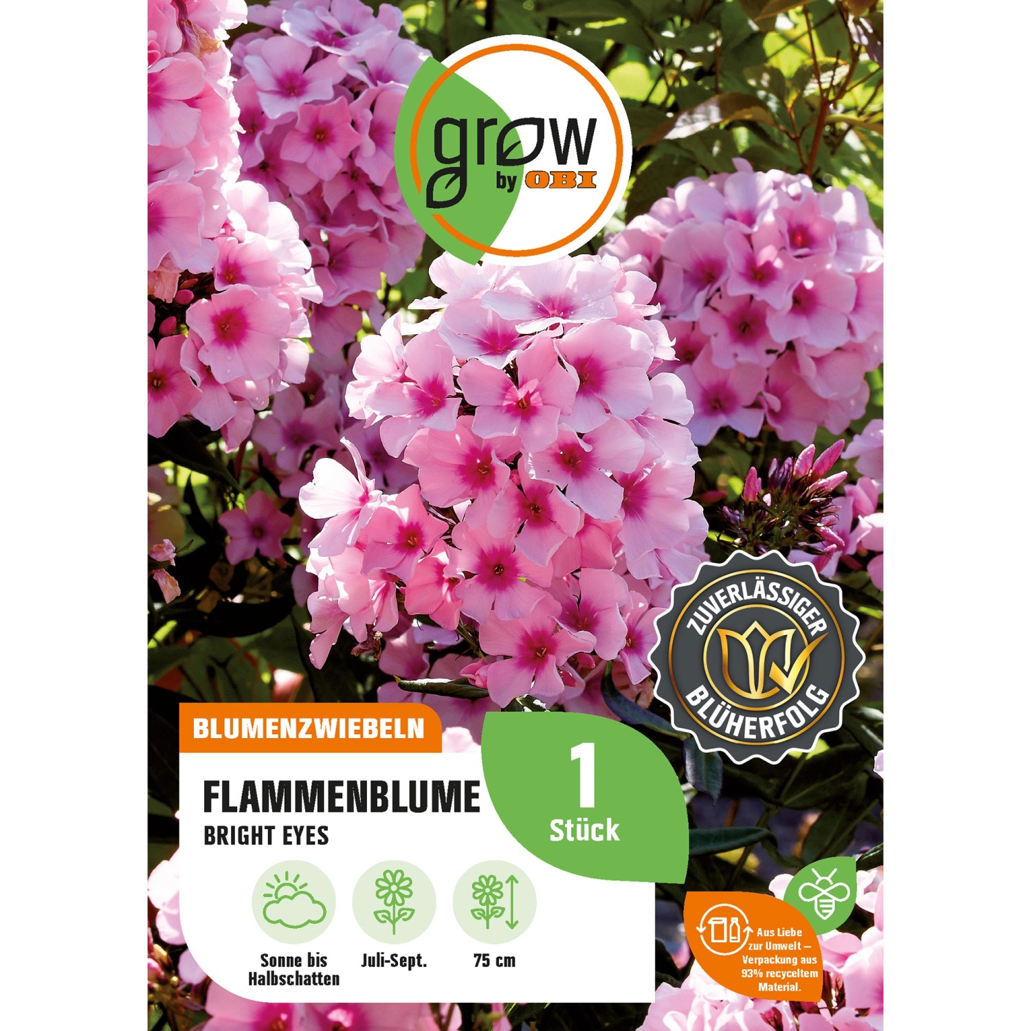 GROW by OBI Flammenblume Phlox paniculata Bright Eyes H. 75 cm Phlox panicu günstig online kaufen