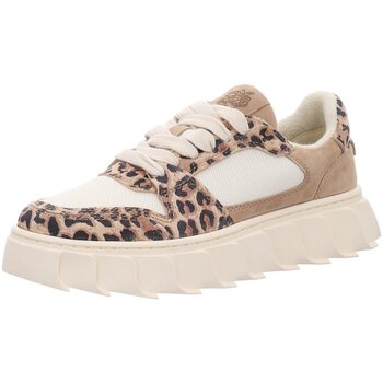 Apple Of Eden  Sneaker SS25-LONDON 31.1 LEO günstig online kaufen