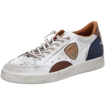 Cetti  Halbschuhe Schnuerschuhe c-1257 sweet white c-1257 sweet white günstig online kaufen