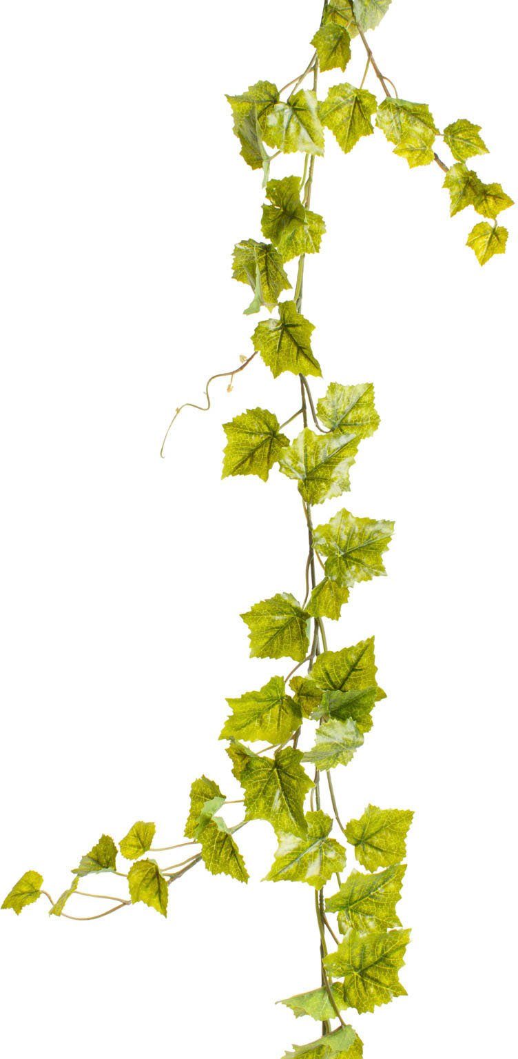 Künstliche Zimmerpflanze Weinlaubgirlande Weinlaub, Botanic-Haus, Höhe günstig online kaufen