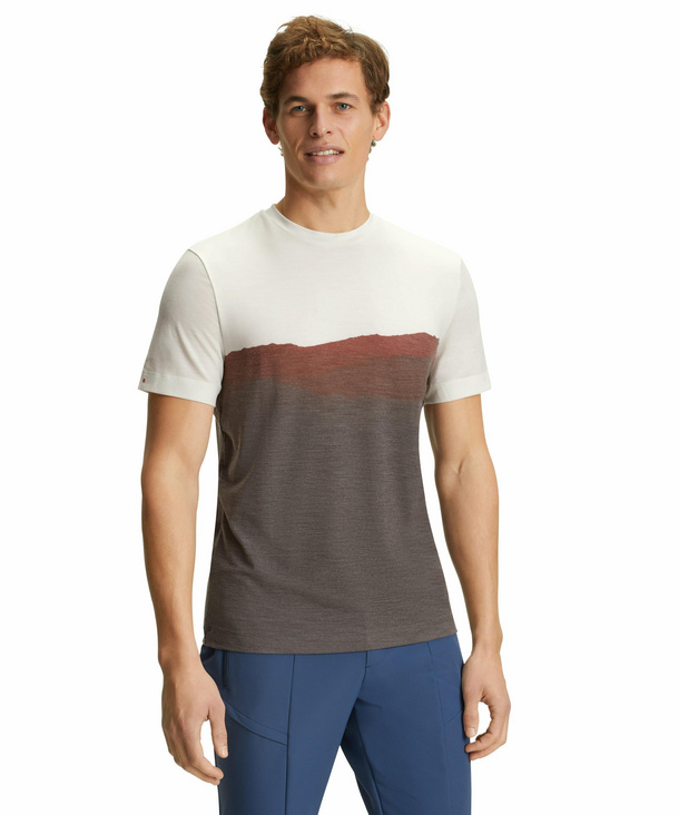 FALKE Herren T-Shirt Rundhals, XL, Rot, Schurwolle, 38377-831805 günstig online kaufen