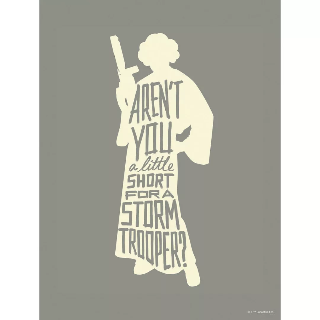 Disney Poster Leia Quotes Grau 30 x 40 cm 612162 günstig online kaufen