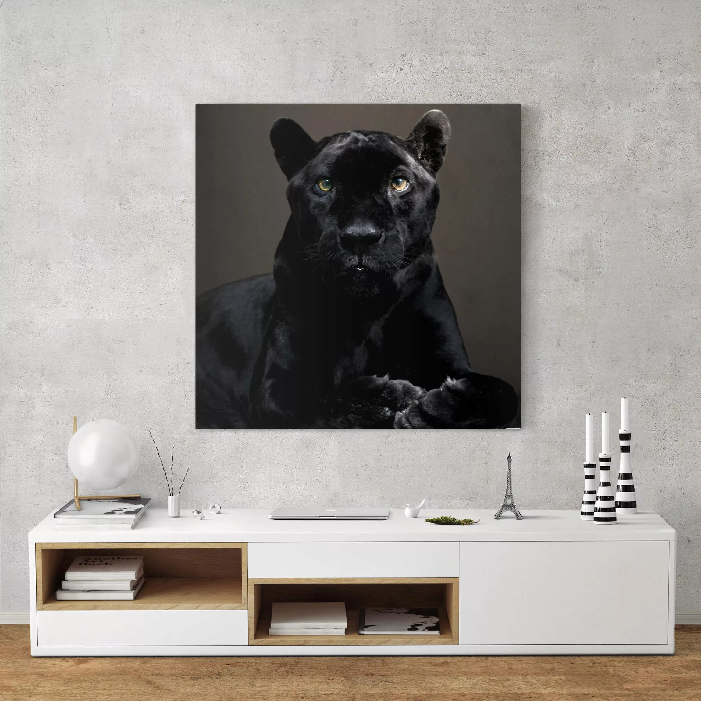 Leinwandbild Tiere - Quadrat Black Puma günstig online kaufen