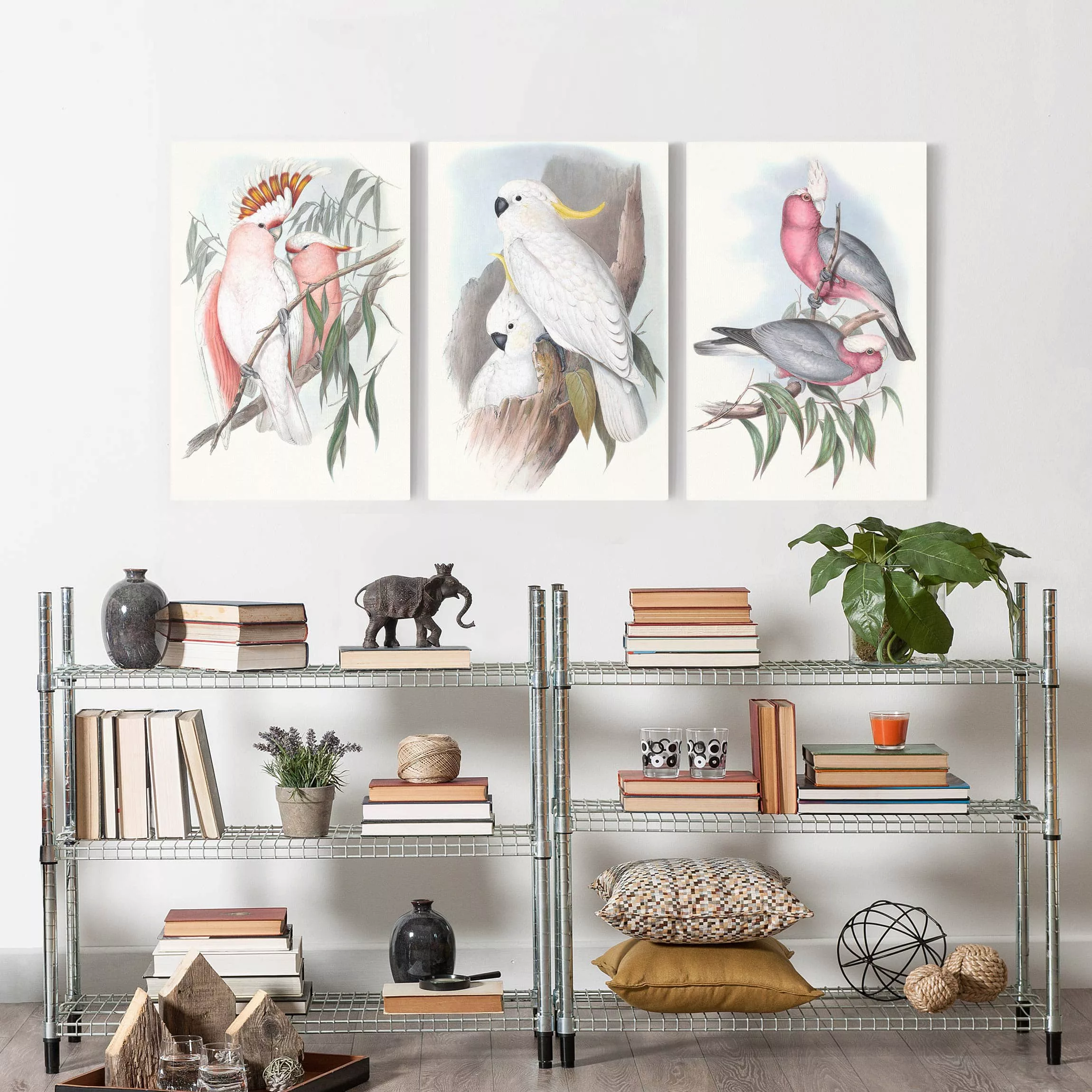 3-teiliges Leinwandbild Tiere - Hochformat Pastell Papageien Set I günstig online kaufen