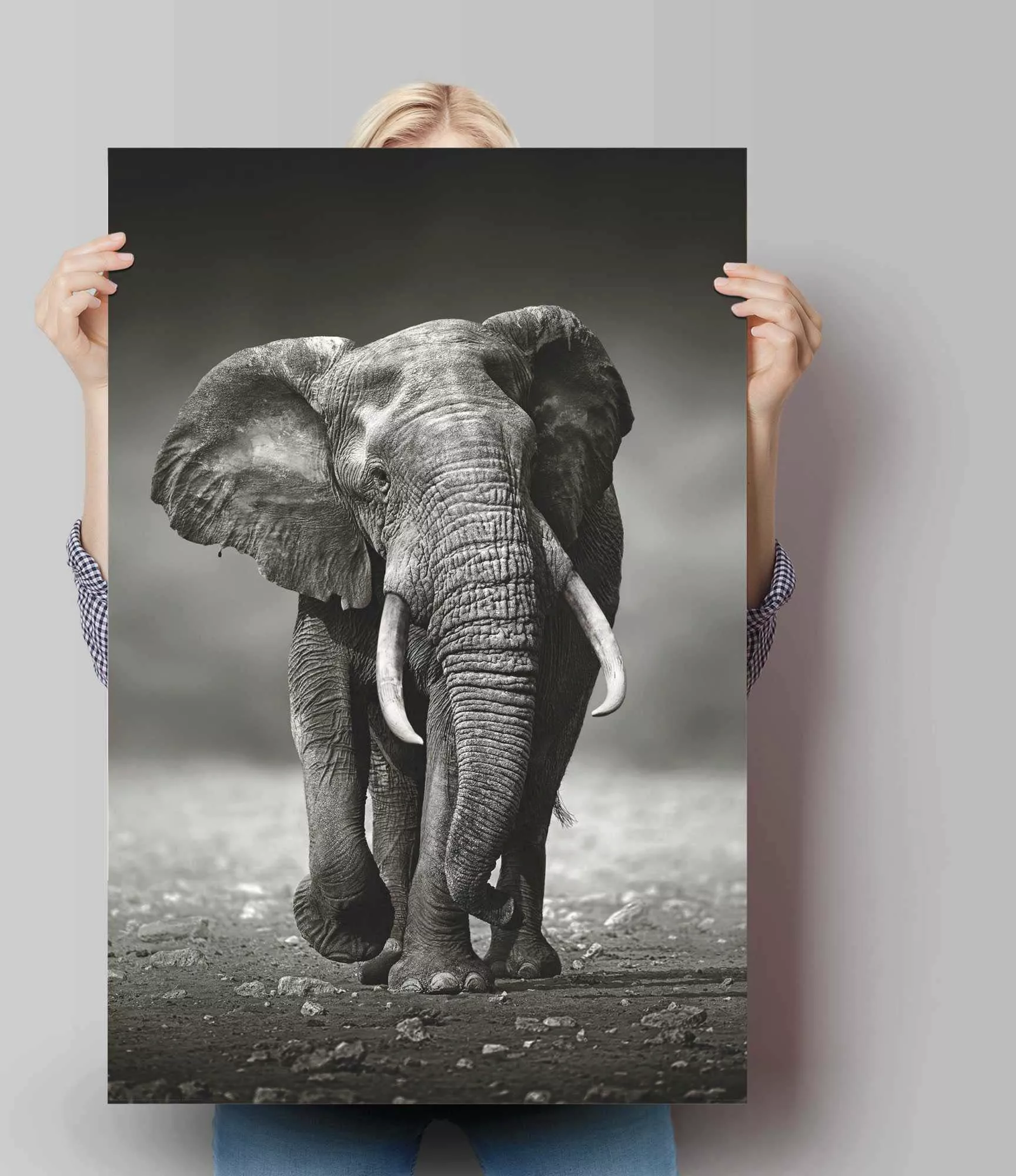 Reinders! Poster »Poster Elefant Wanderung«, Elefanten, (1 St.) günstig online kaufen