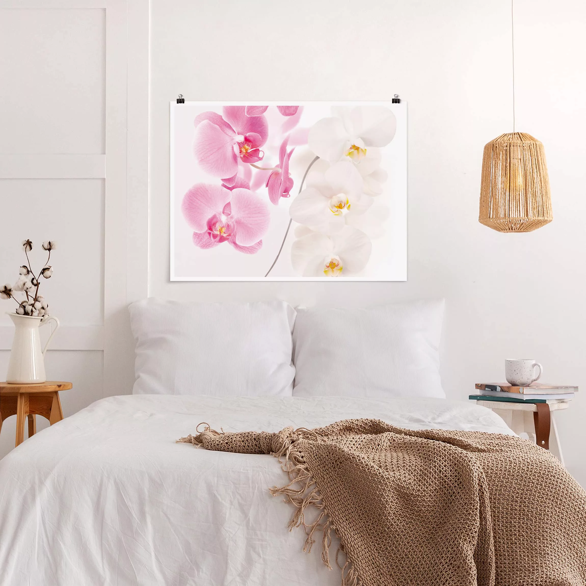 Poster Blumen - Querformat Delicate Orchids günstig online kaufen