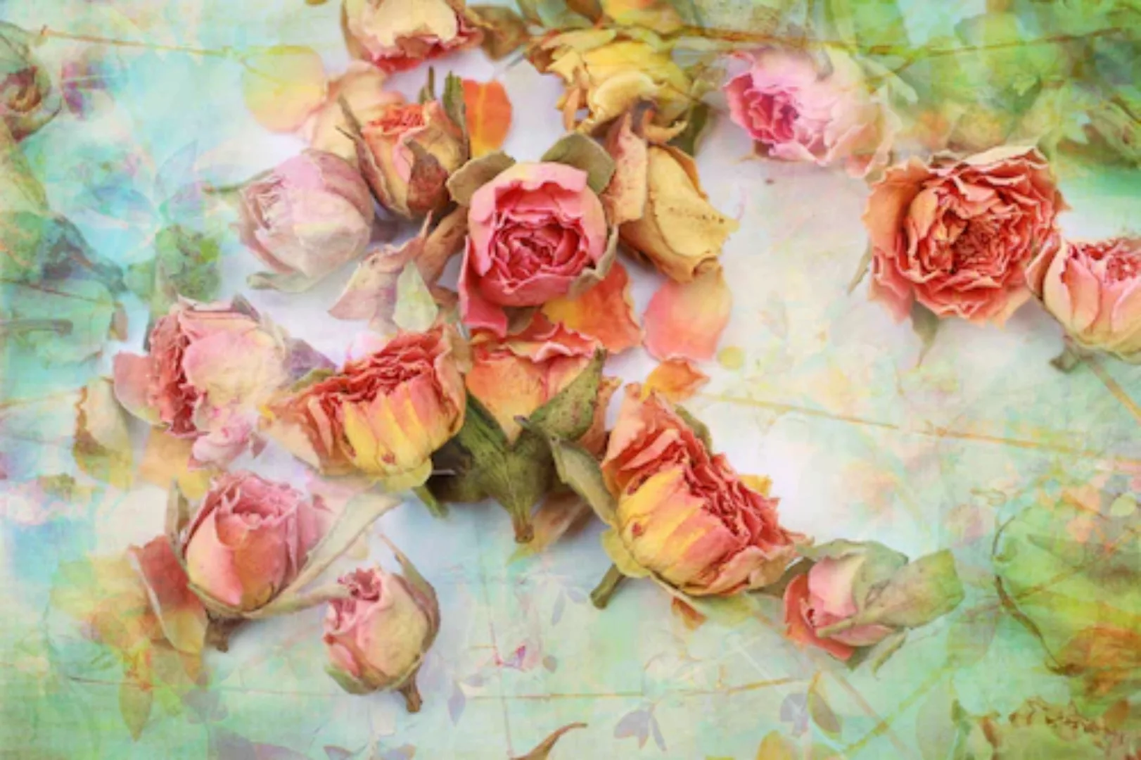 Papermoon Fototapete »Vintage Rosen« günstig online kaufen
