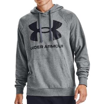 Under Armour  Sweatshirt 1357093-012 günstig online kaufen