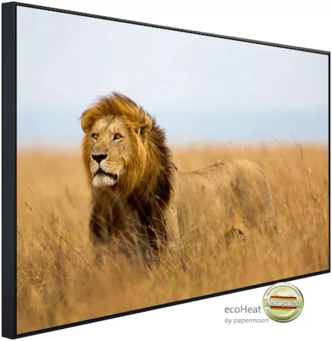 Papermoon Infrarotheizung »Löwe in Masai Mara Kenia«, sehr angenehme Strahl günstig online kaufen