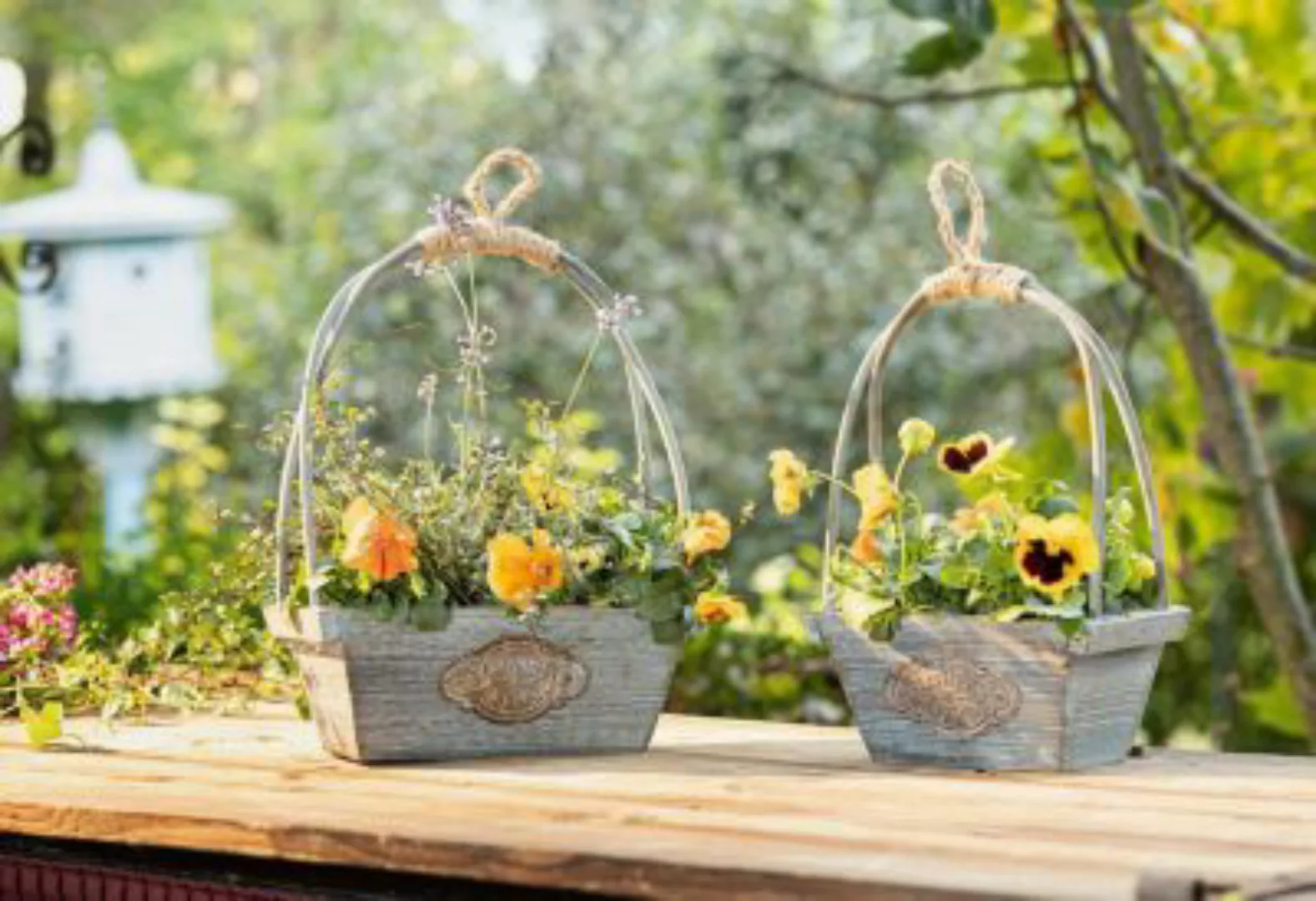 HOME Living Pflanzer Shabby-Flowers Blumentöpfe grün günstig online kaufen