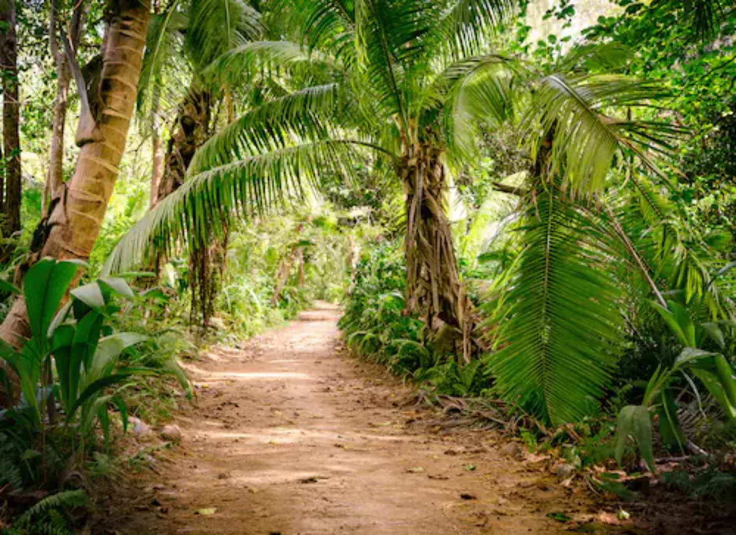 Fototapete Palmen Dschungel Grün Braun 3,50 m x 2,55 m FSC® günstig online kaufen
