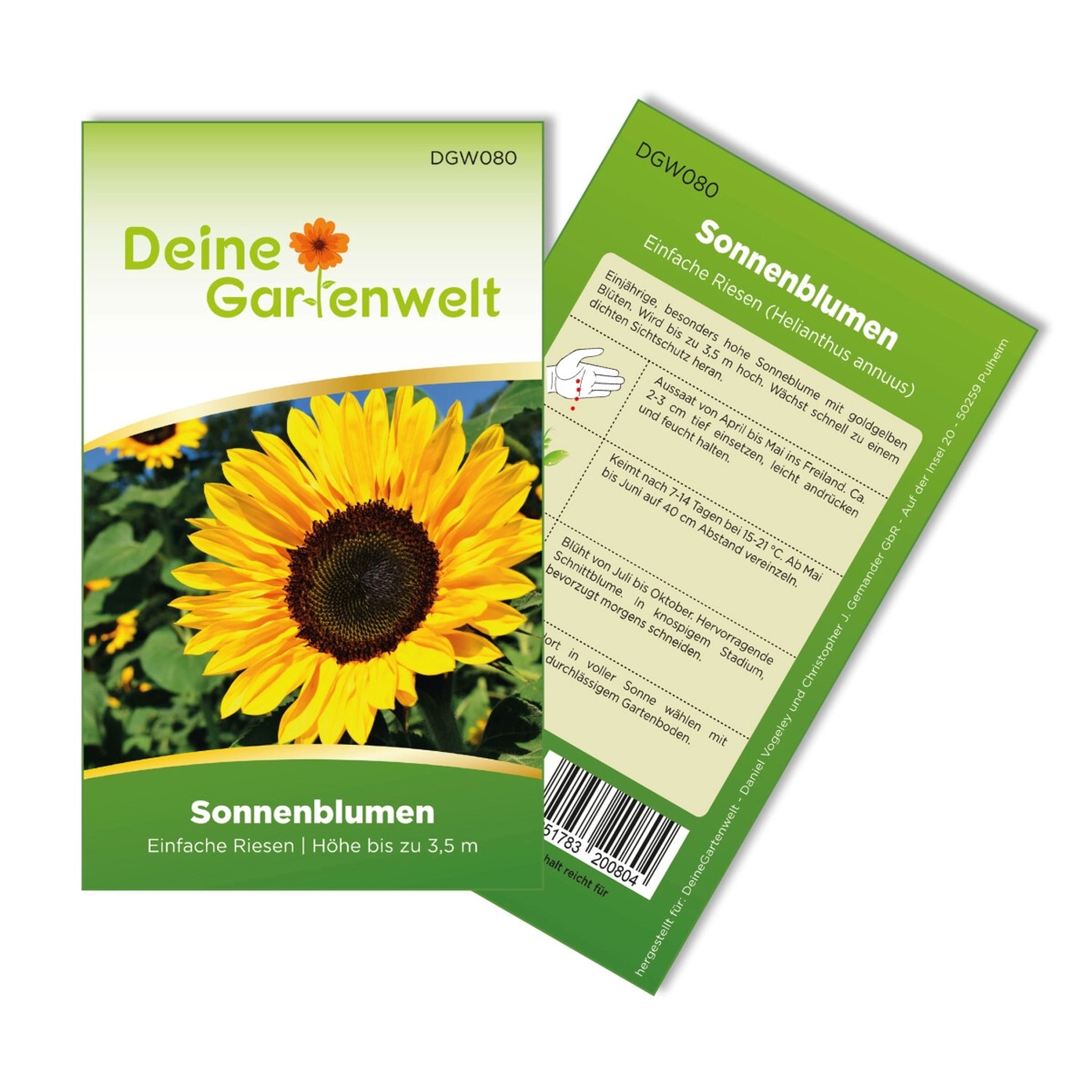 Deine Gartenwelt Sonnenblumen Einfache Riesen Samen günstig online kaufen