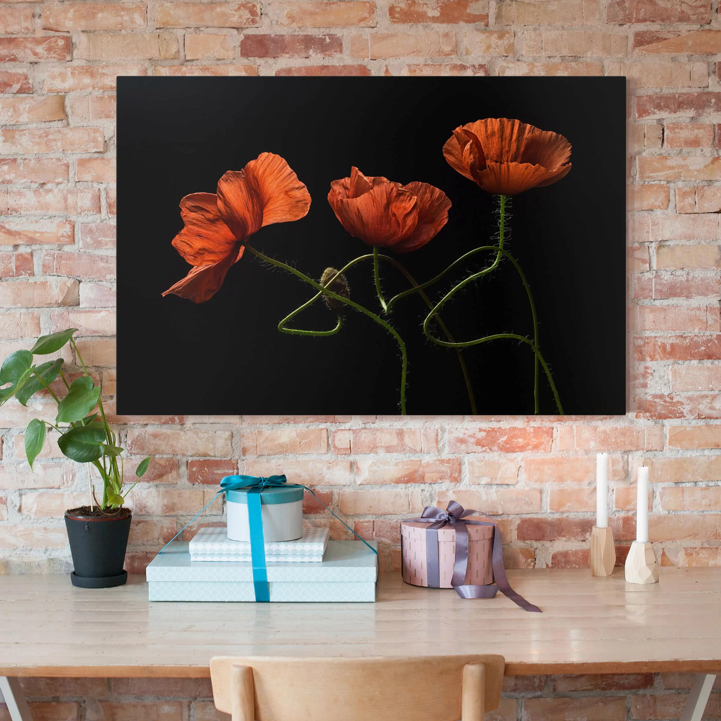 Leinwandbild Blumen - Querformat Mohnblumen um Mitternacht günstig online kaufen