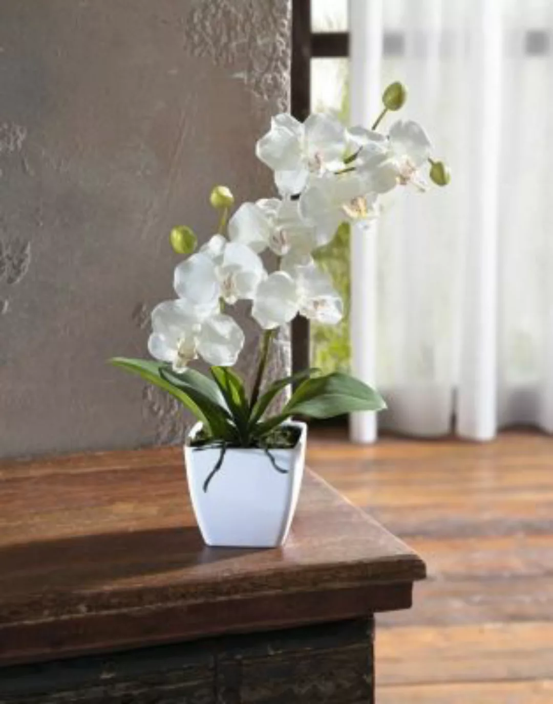 HOME Living Deko-Orchidee Deko-Orchidee Kunstpflanzen weiß günstig online kaufen