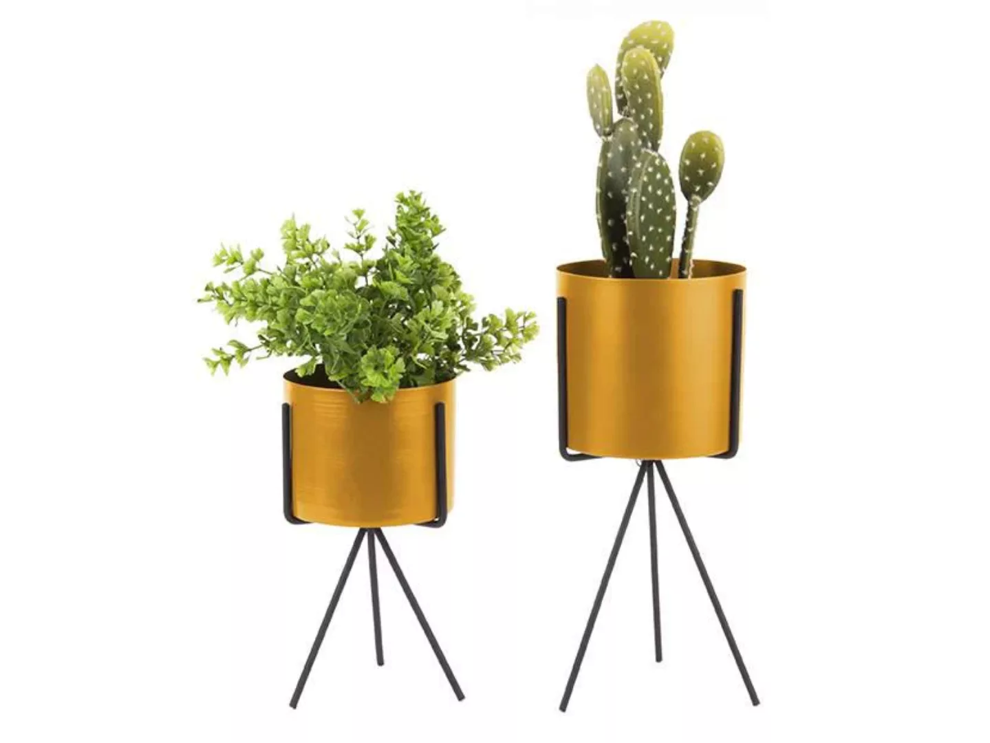 PT LIVING | Set mit 2 Pflanzenhaltern Pedestal günstig online kaufen