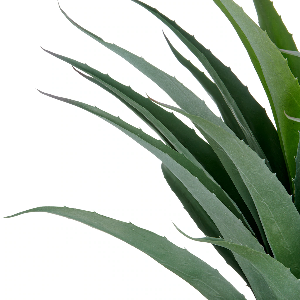 Creativ green Kunstpflanze "Agave", in UV-beständiger Ausführung günstig online kaufen